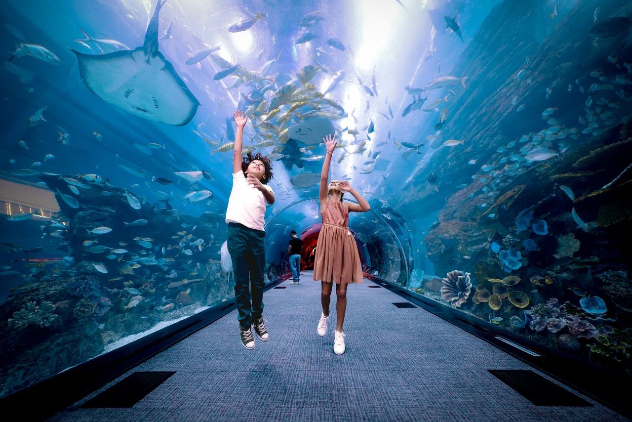 Dubai Aquarium & Underwater Zoo Exploration