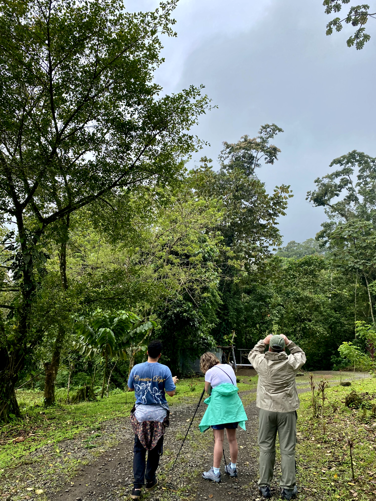 La Fortuna Private Rainforest Sloth Tour with Guaranteed Sighting