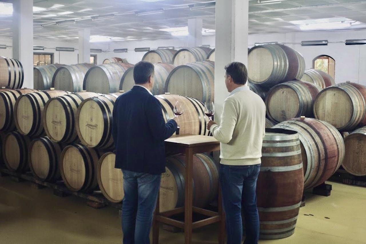 Cape Winelands Full-Day Tour: Stellenbosch, Franschhoek & Paarl