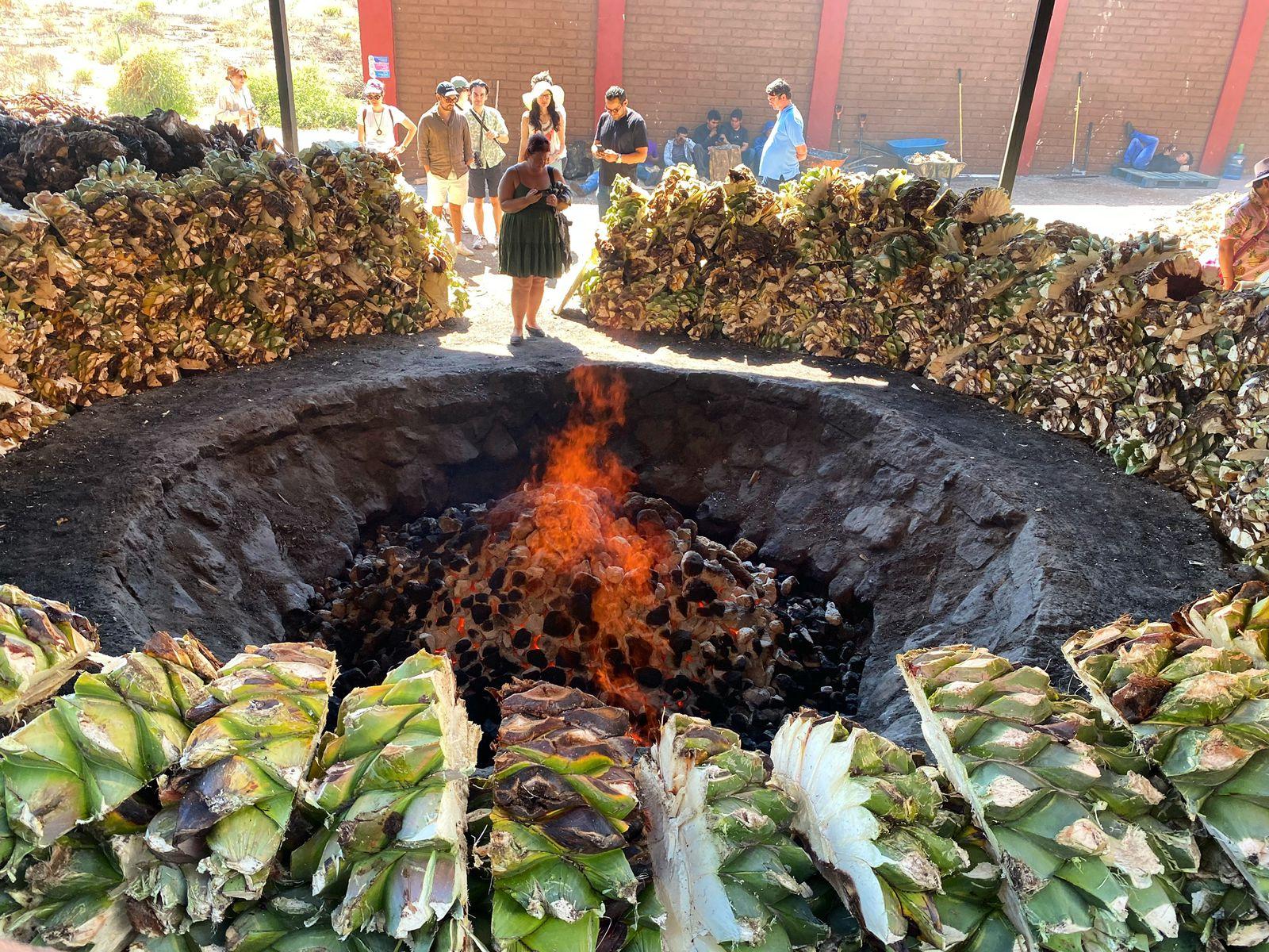 Artisanal Mezcal Experience: Distillery, Agave Fields & Tasting
