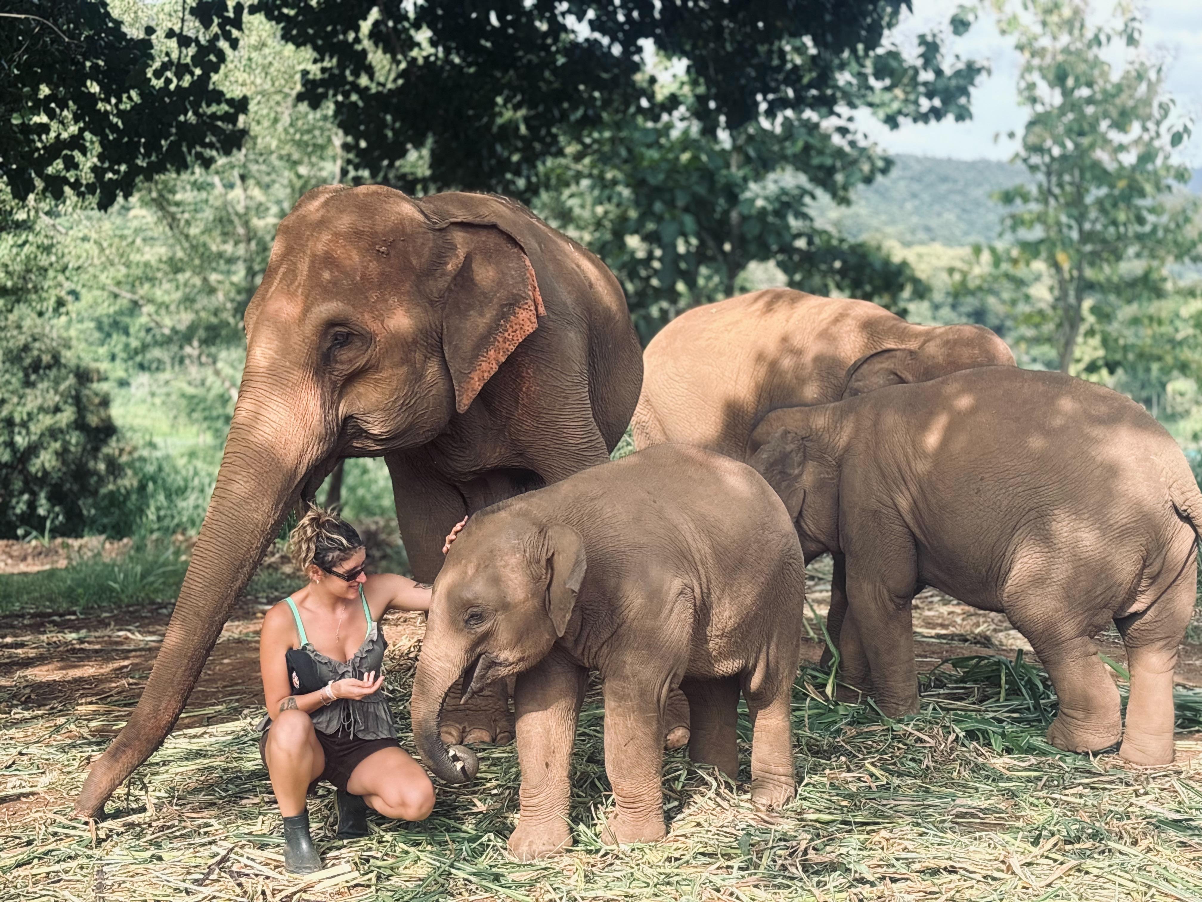 Elephant Sanctuary and Cooking Class — image 10