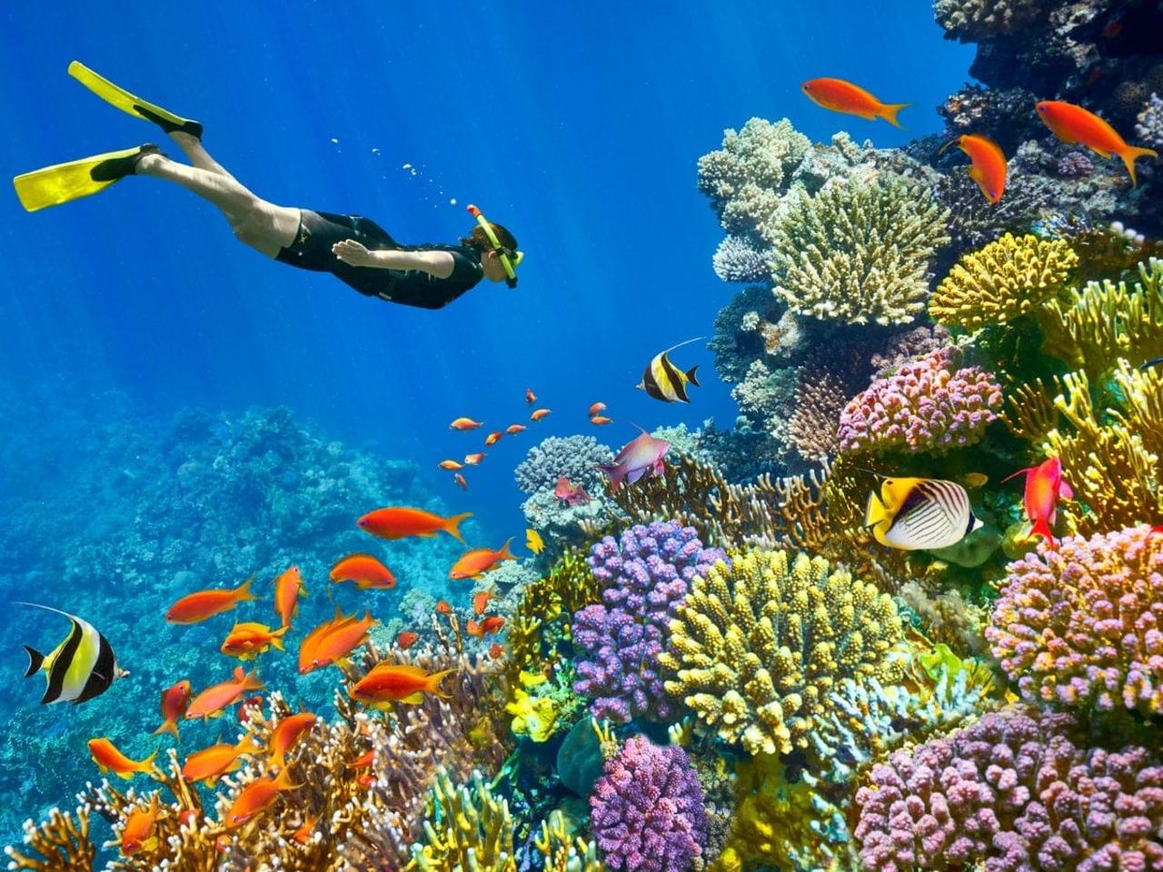 Dahab Adventure: Canyon Hike, Snorkeling & Camel Ride from Sharm