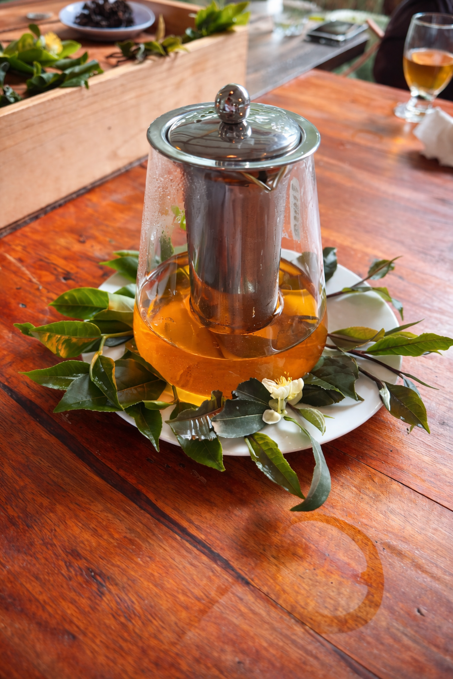Ella: Hands-On Tea Making and Tasting Experience