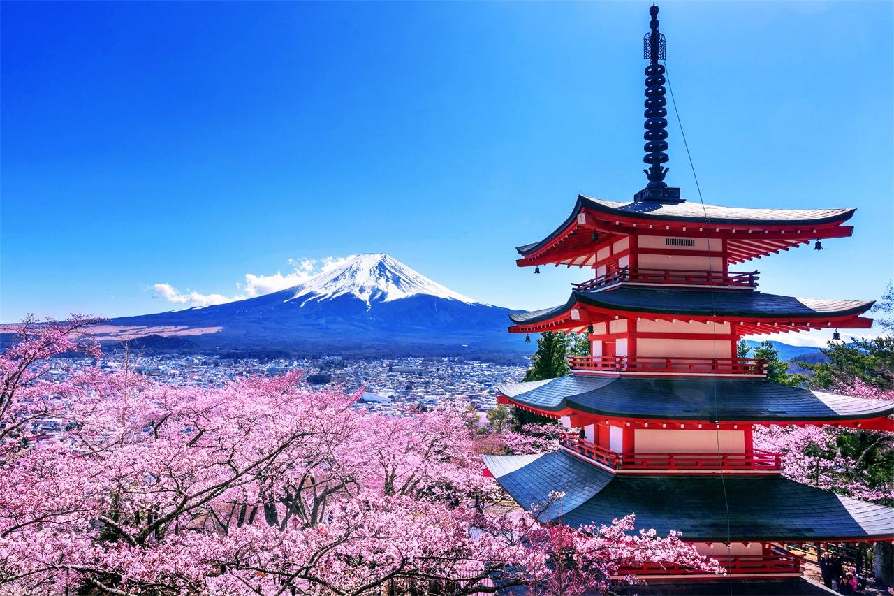 Mt. Fuji Heritage & Culture Day Trip