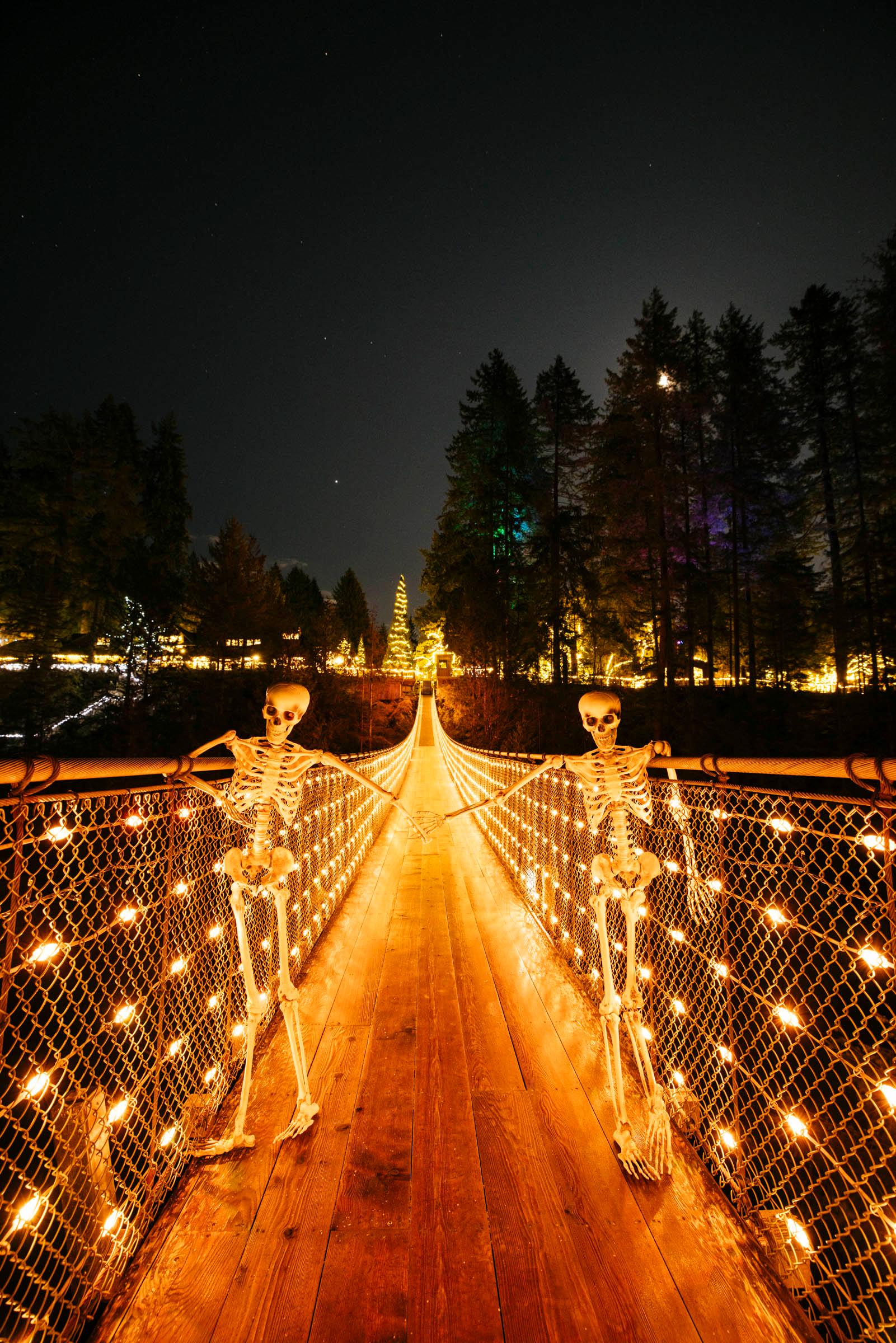 Vancouver North Shore & Capilano Canyon Lights Explorer