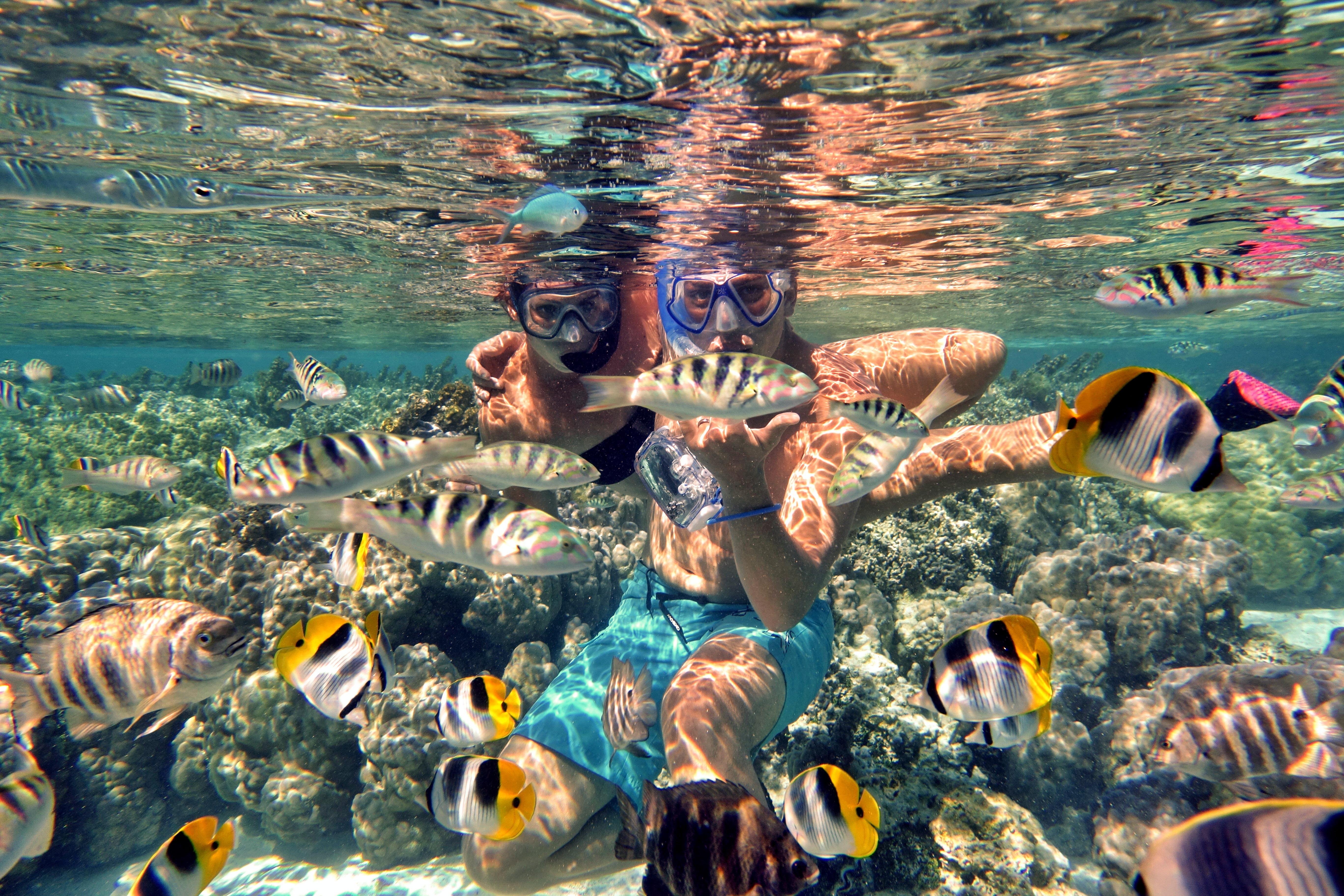 Taha'a Island Adventure: Vanilla, Pearls & Coral Gardens