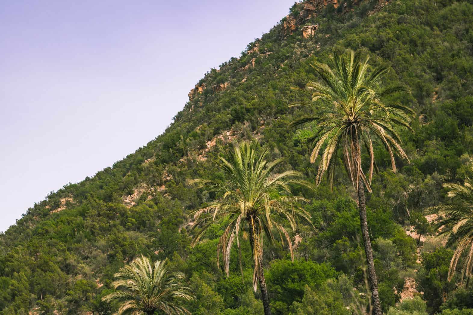 Paradise Valley & Atlas Mountains Expedition from Agadir