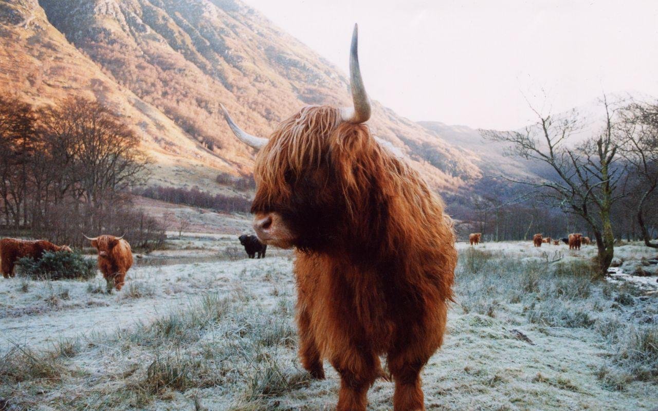 From Edinburgh: 3-Day Isle of Skye & Highlands Tour