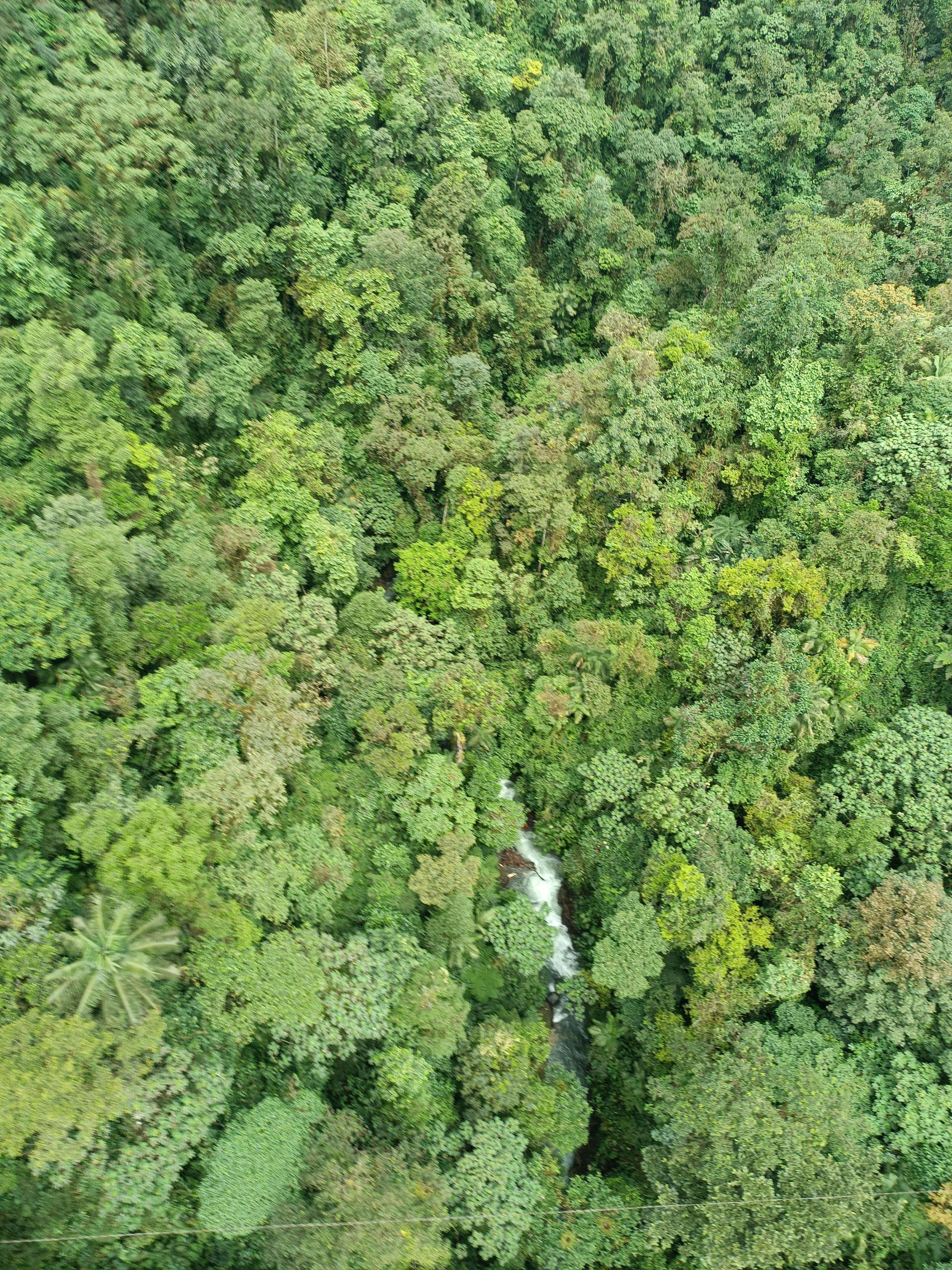 Private Mindo Cloud Forest & Chocolate Adventure