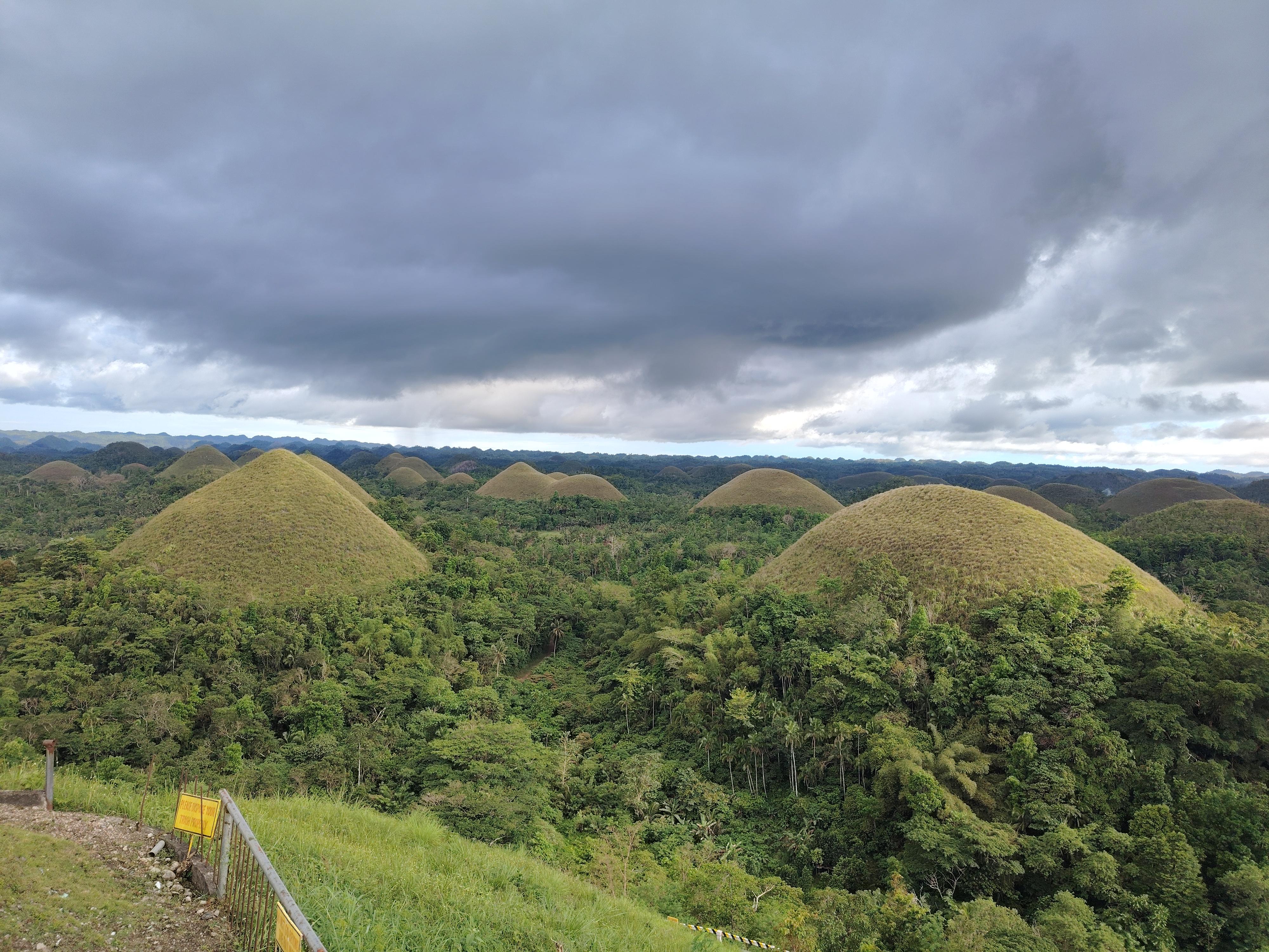 Bohol Highlights: Chocolate Hills, Tarsiers & Loboc River Tour