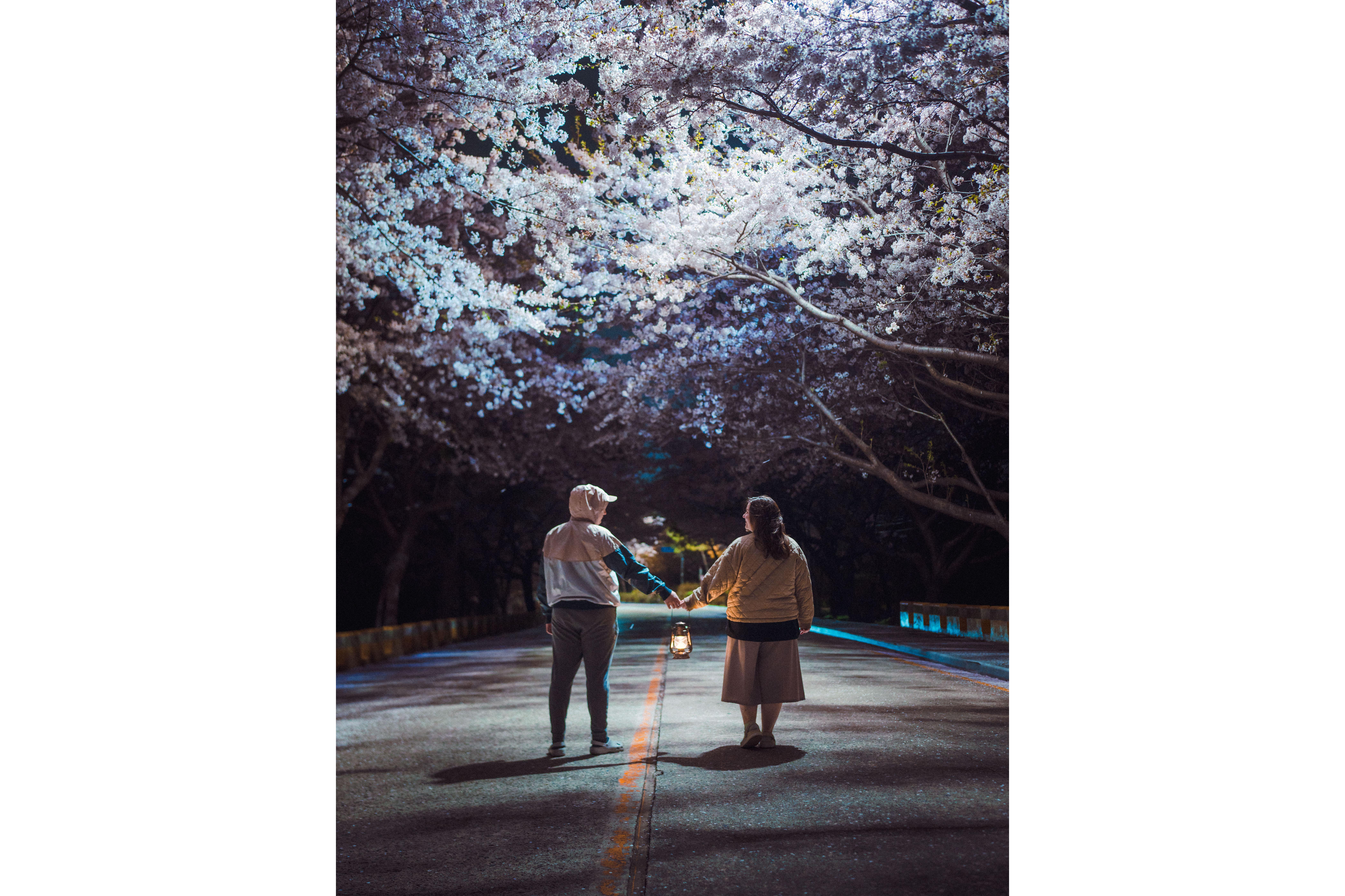 Busan: Night Small Group Photography Tour (Max 7)