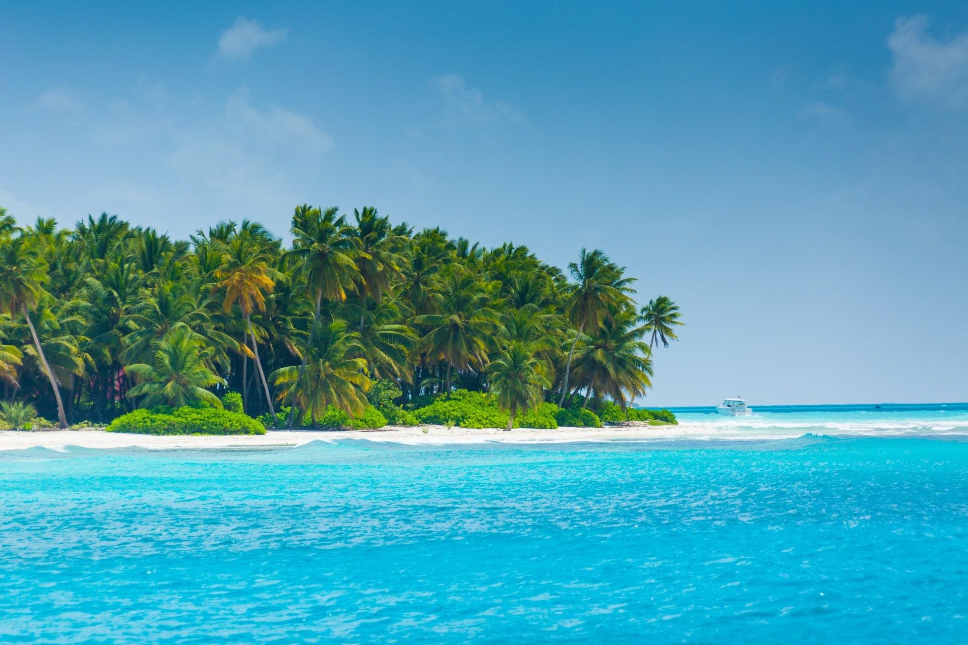 Saona Island Catamaran Day Trip from Punta Cana – Open Bar & Buffet