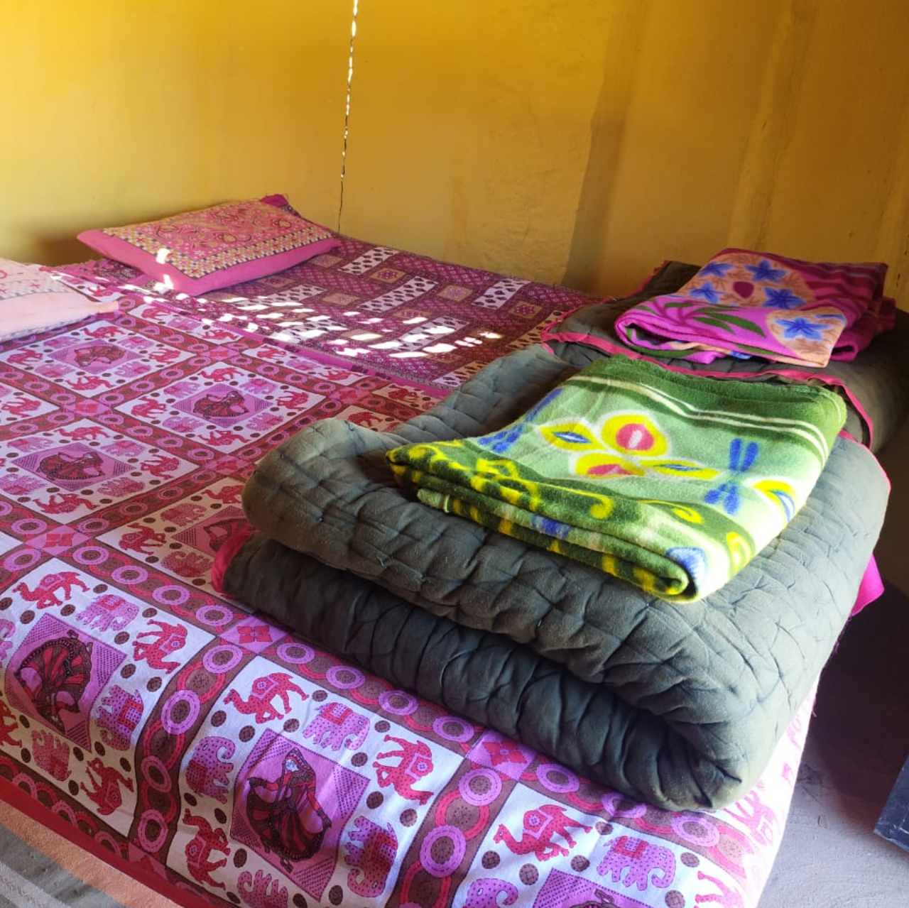 Thar Desert Overnight Camel Safari & Village Stay