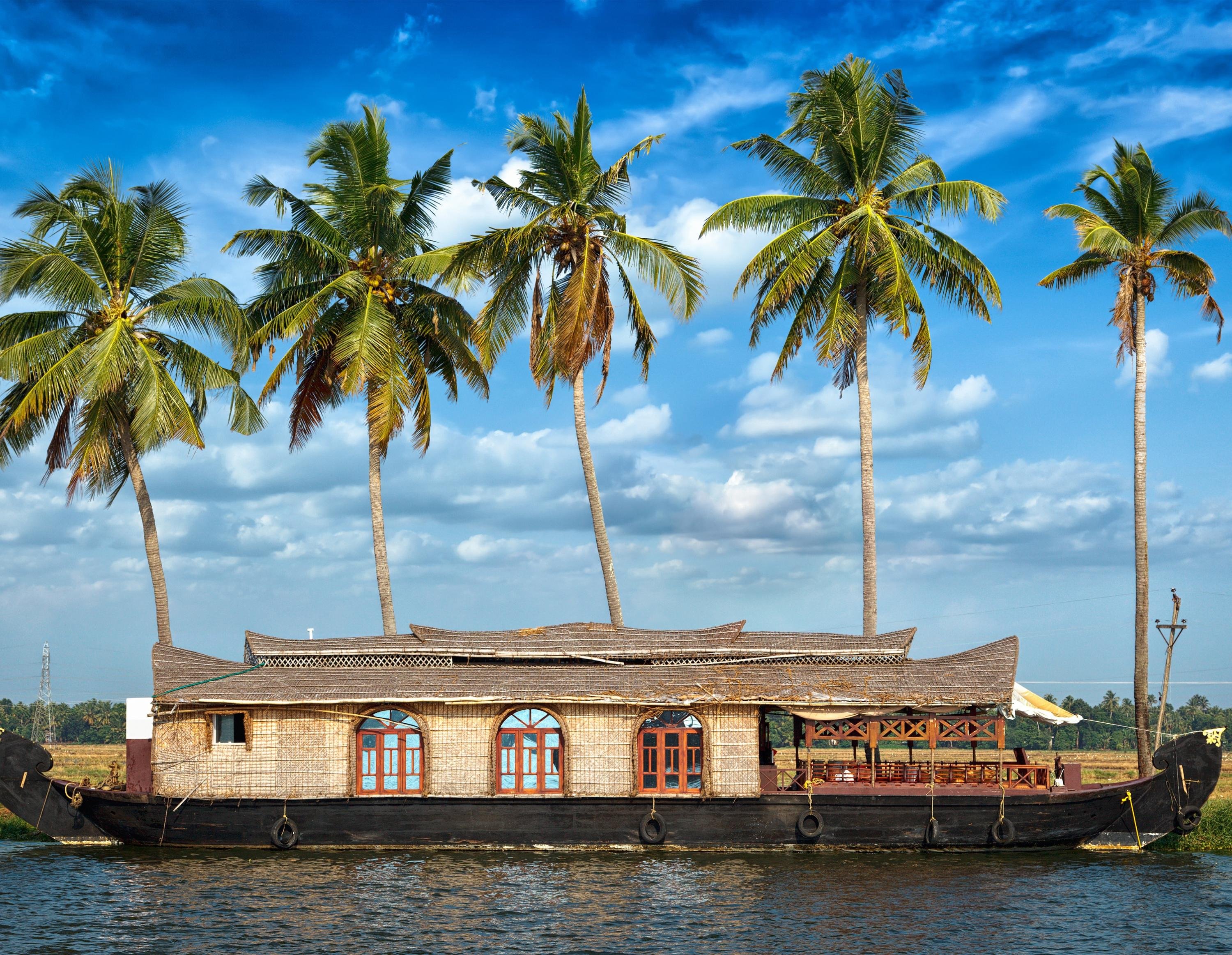 5-Day Kerala Escape: Munnar, Thekkady, and Alleppey Backwaters