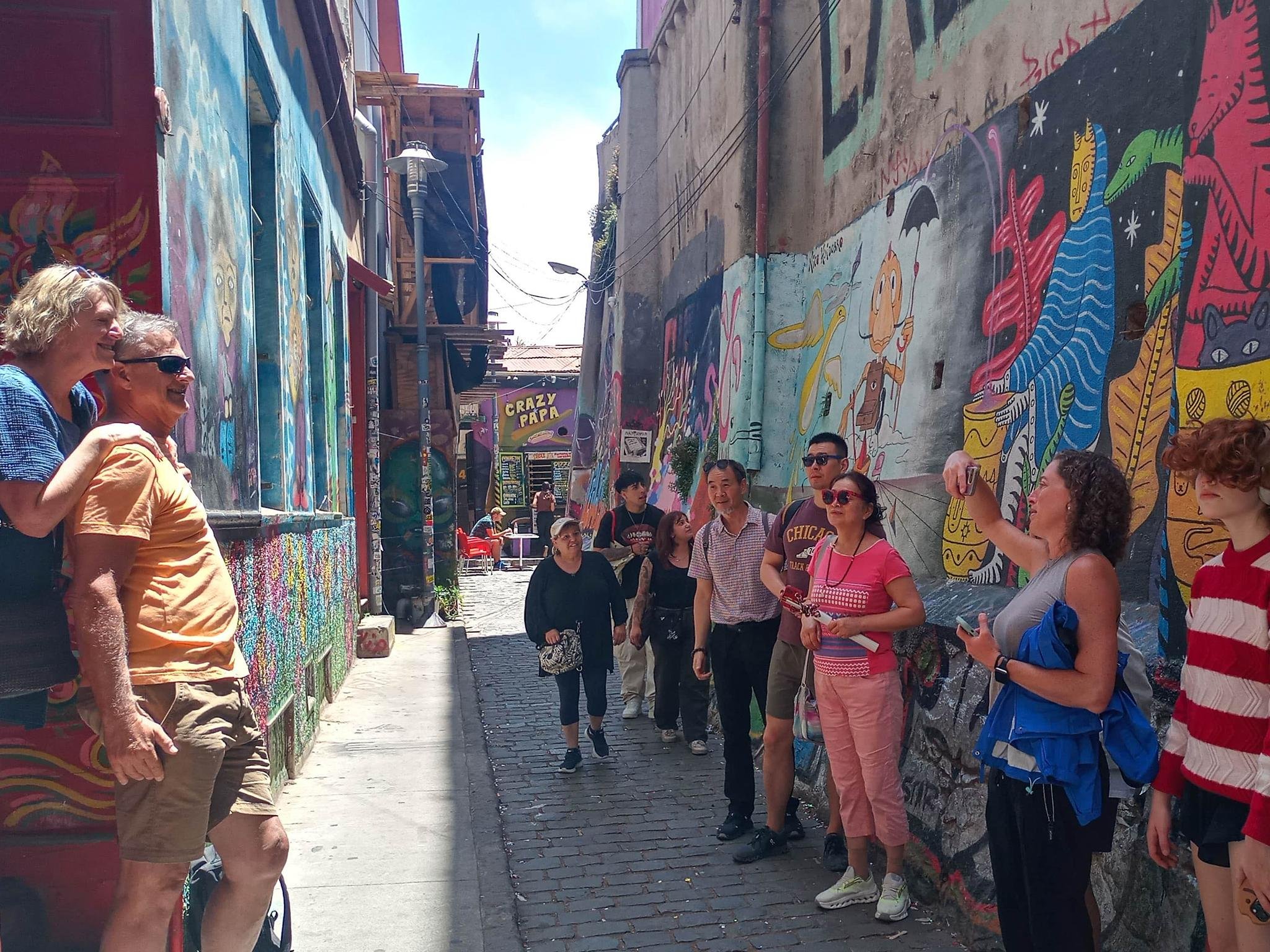 Valparaíso wine tour, the Casablanca Valley and Valparaíso's hills — image 39
