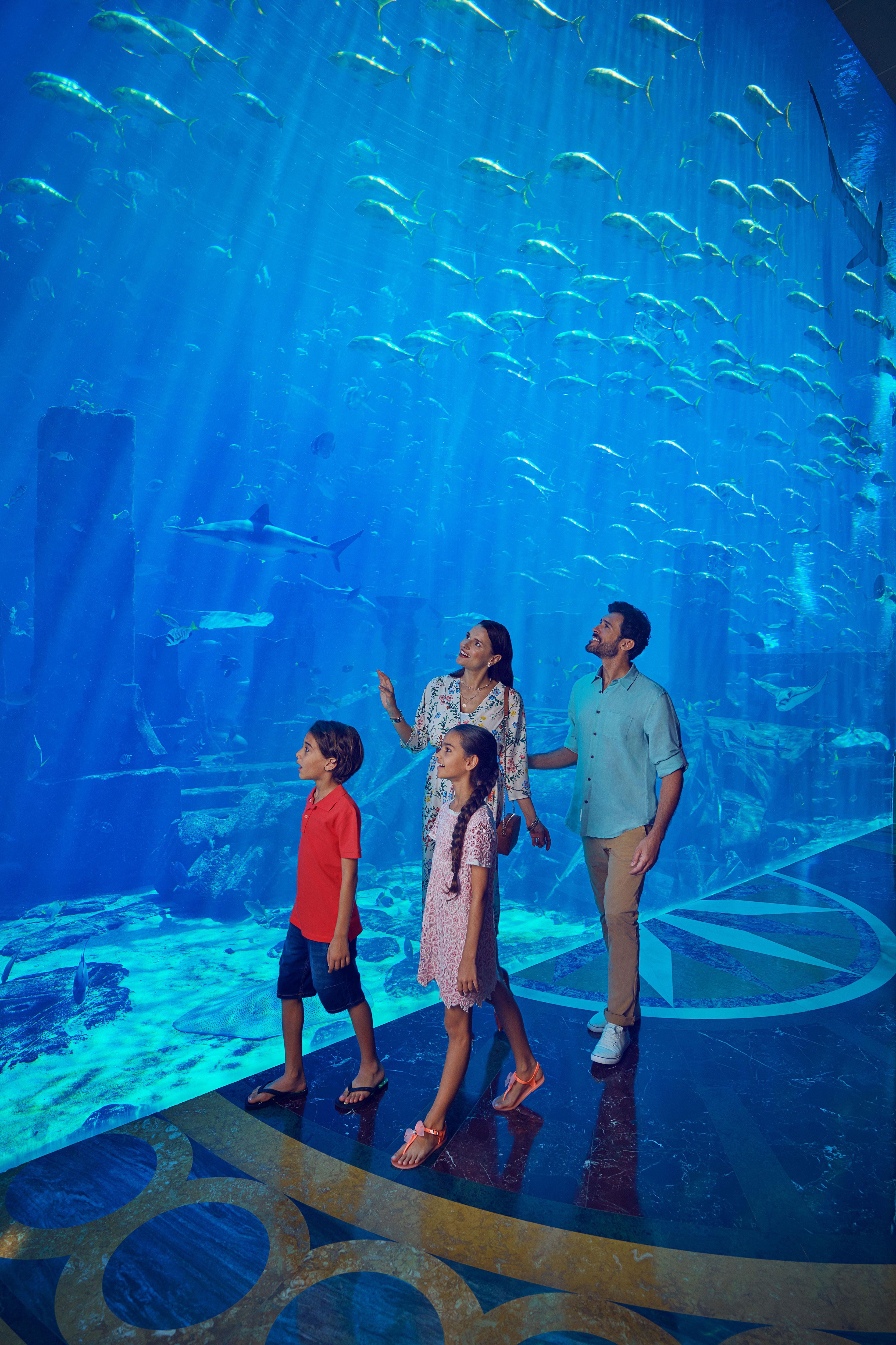 Dubai Aquaventure World Super Pass with Lost World Aquarium