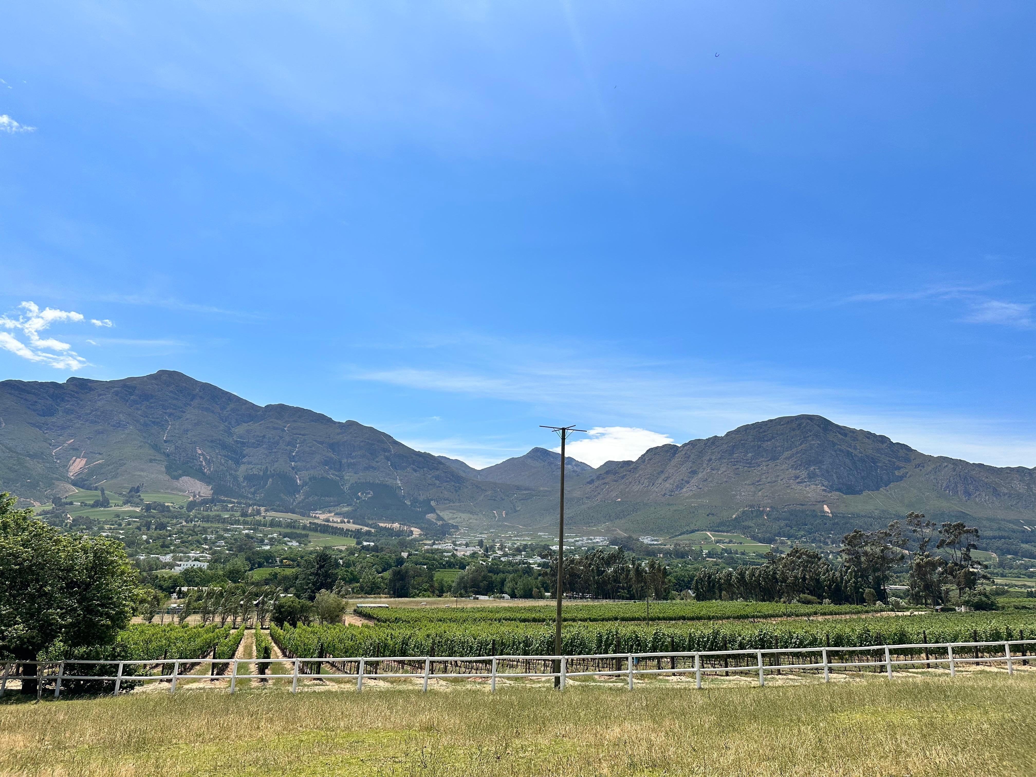 Cape Town Highlights: Table Mountain & Boulders Beach Full-Day Tour