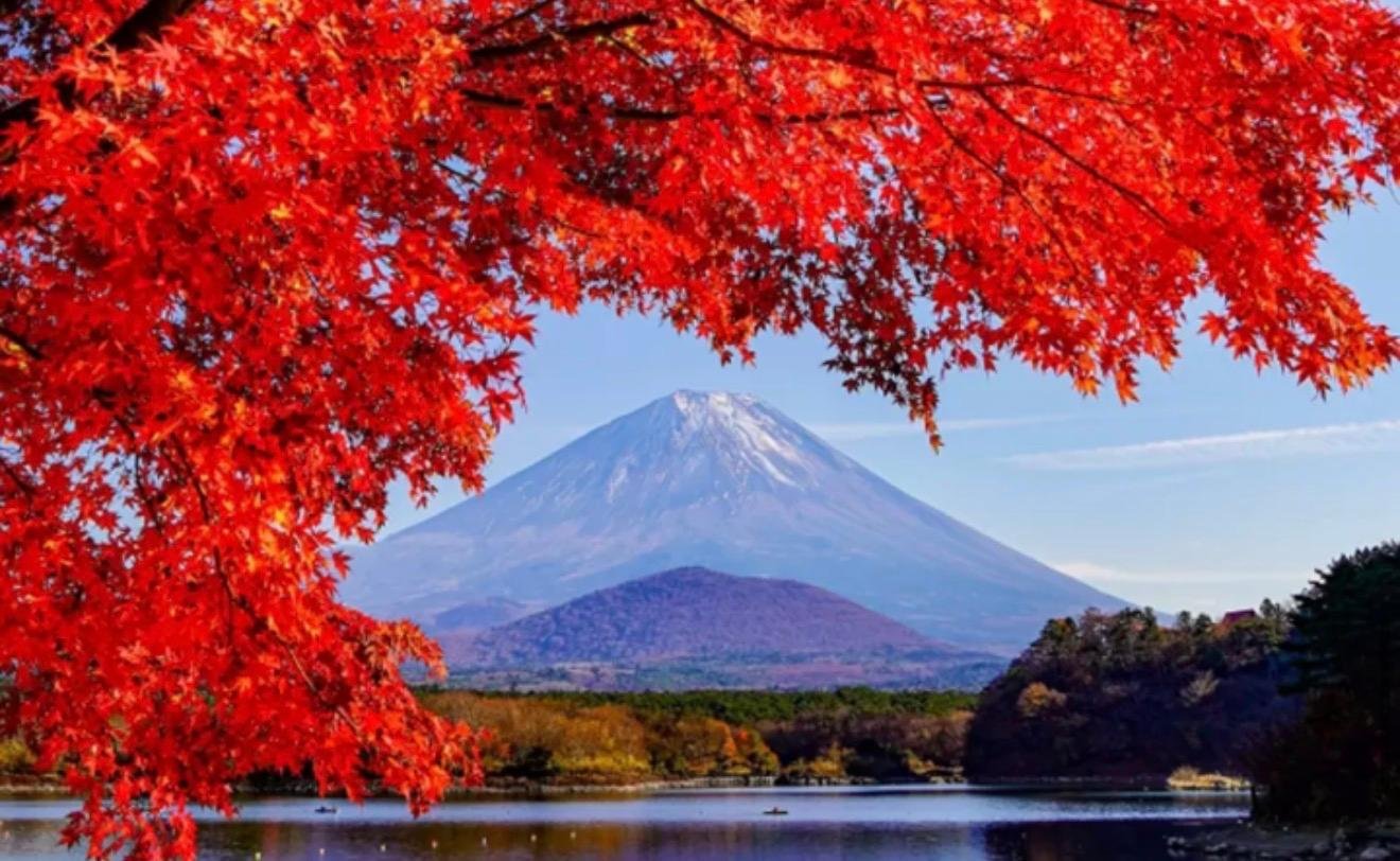 Customizable Mount Fuji Private Day Trip from Tokyo