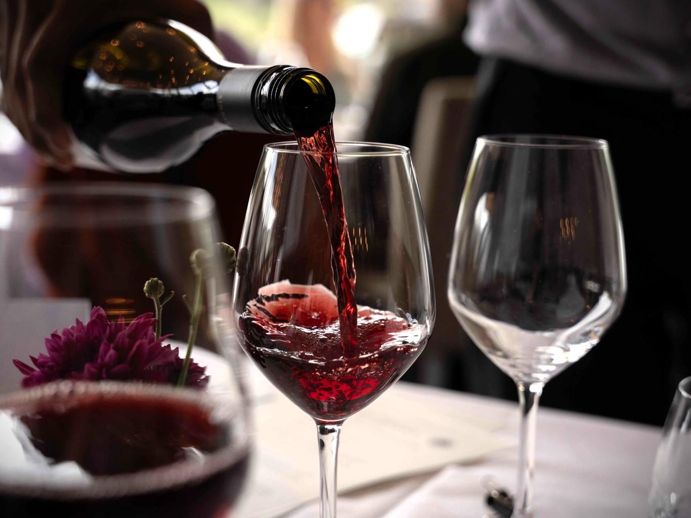 Queenstown: Wine & Food Tour, Scenic Tastings & Paired Lunch