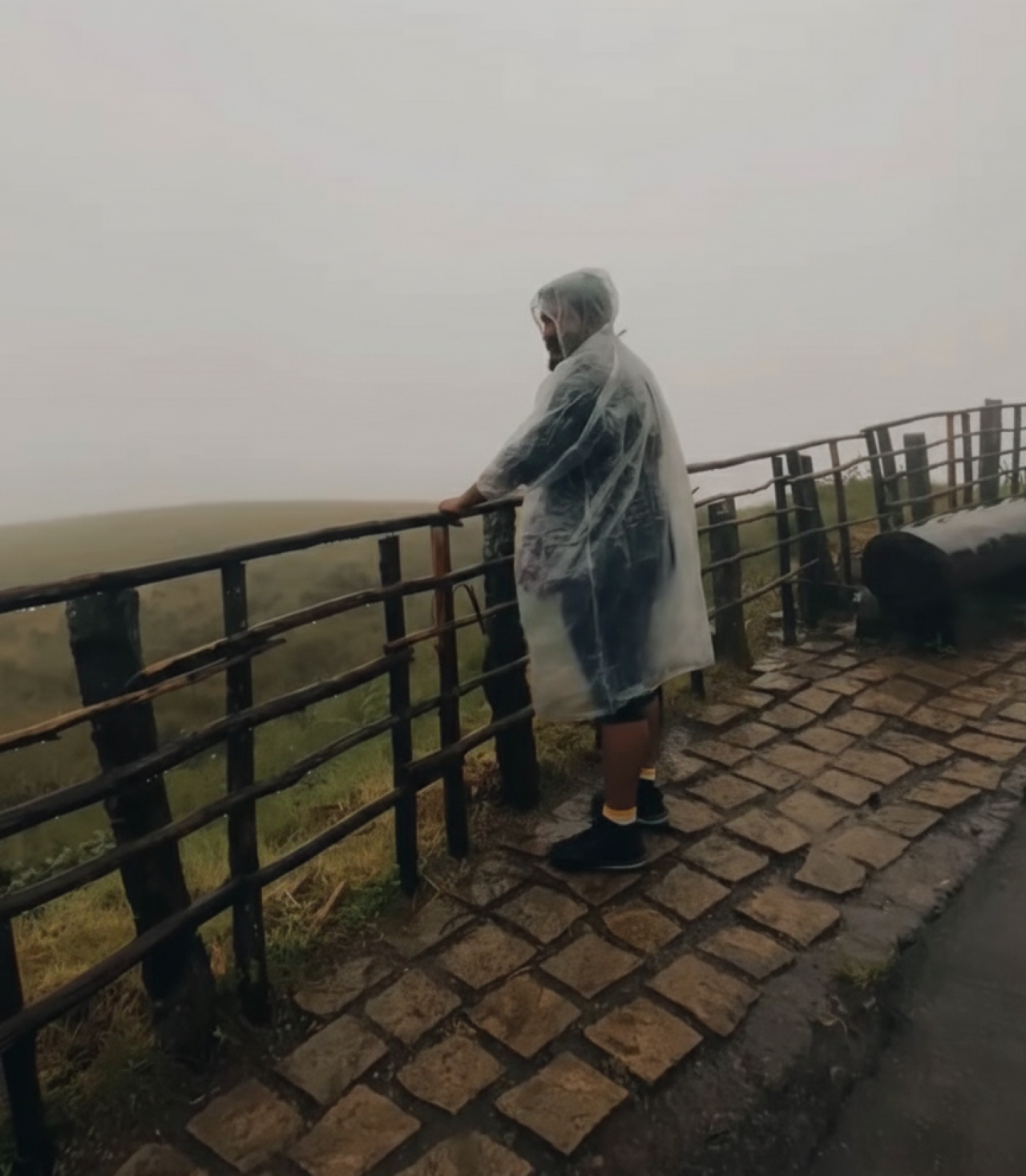 Munnar Highlands & Tea Plantation Day Tour from Kochi