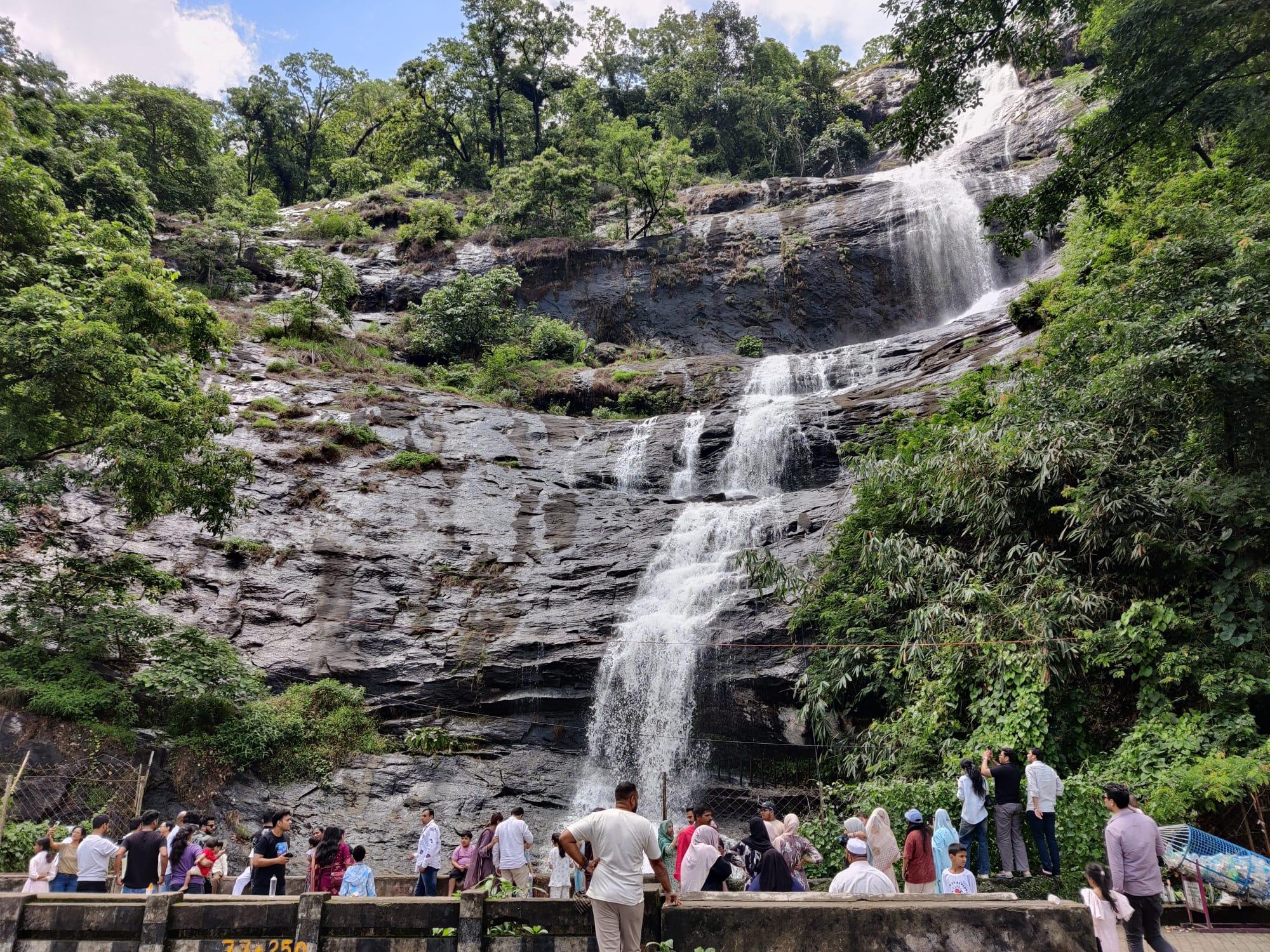 5-Day Kerala Escape: Munnar Hills, Thekkady Wildlife & Alleppey Houseboat