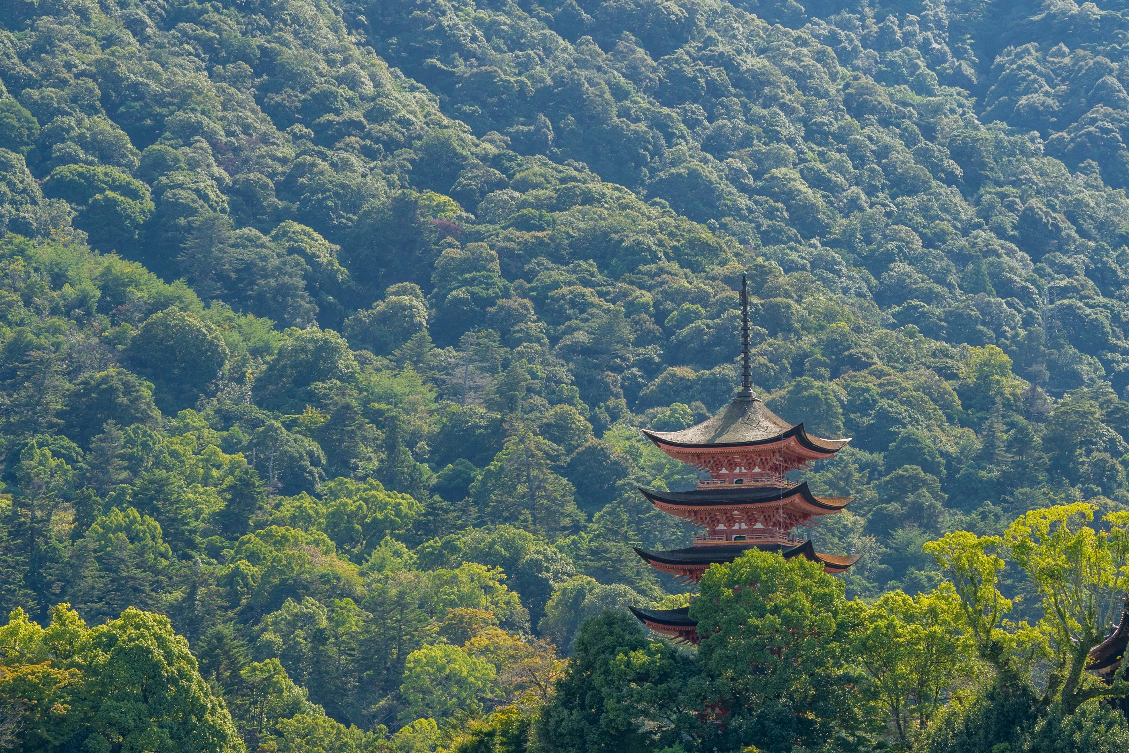 Private Full-Day Nikko Tour from Tokyo