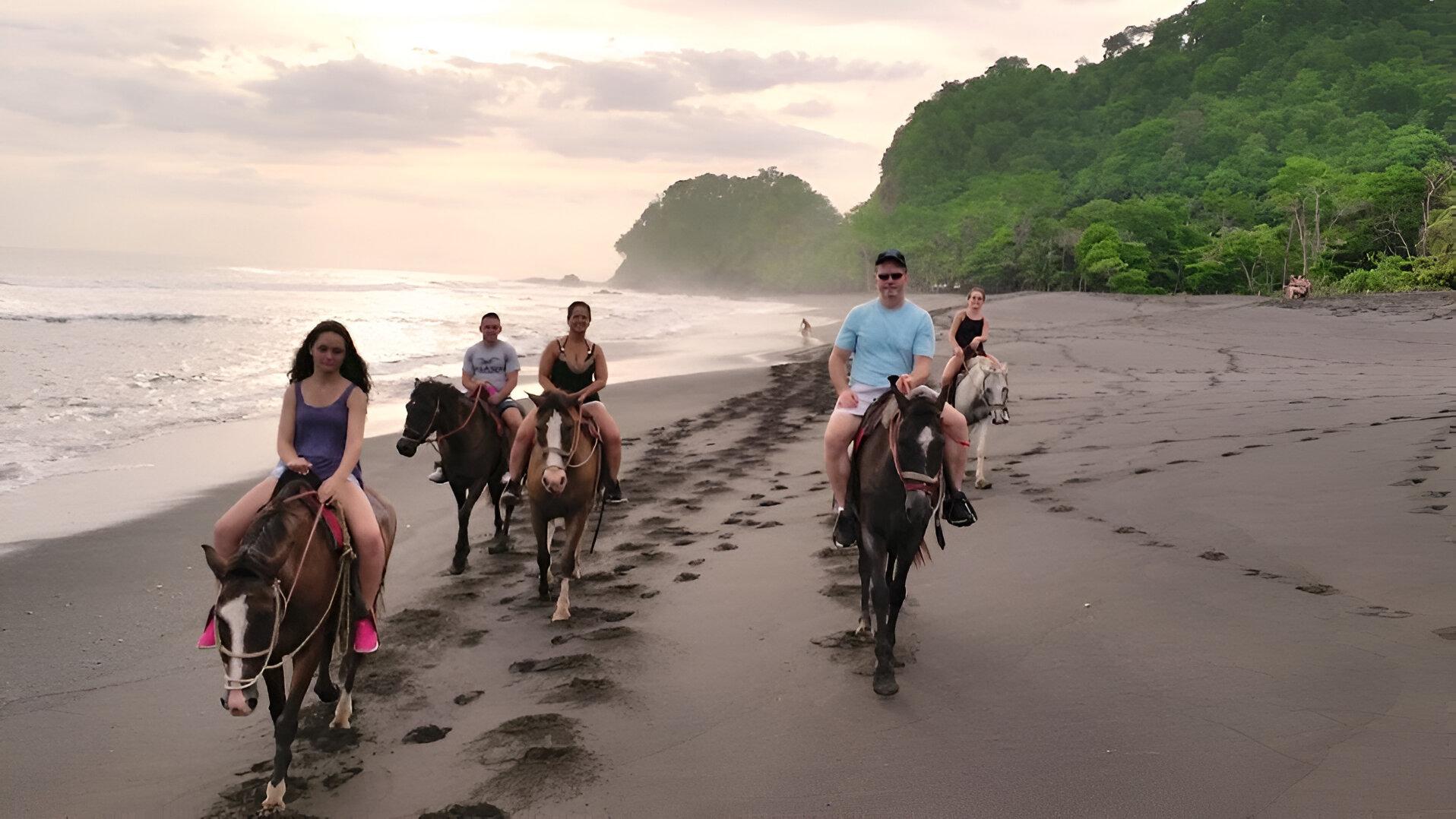 Cahuita Beach Horseback Ride & Rainforest Wildlife Walk