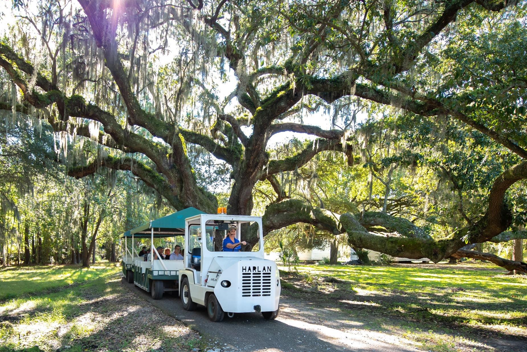 Magnolia Plantation & Gardens Guided Experience