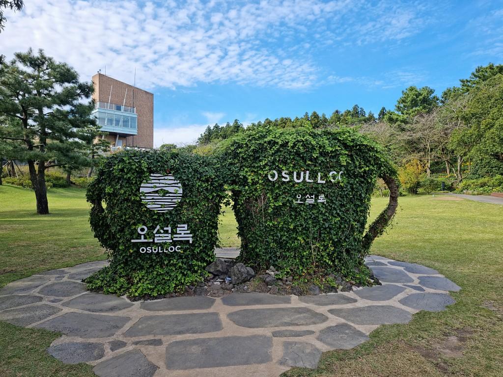 Jeju private car charter — image 21