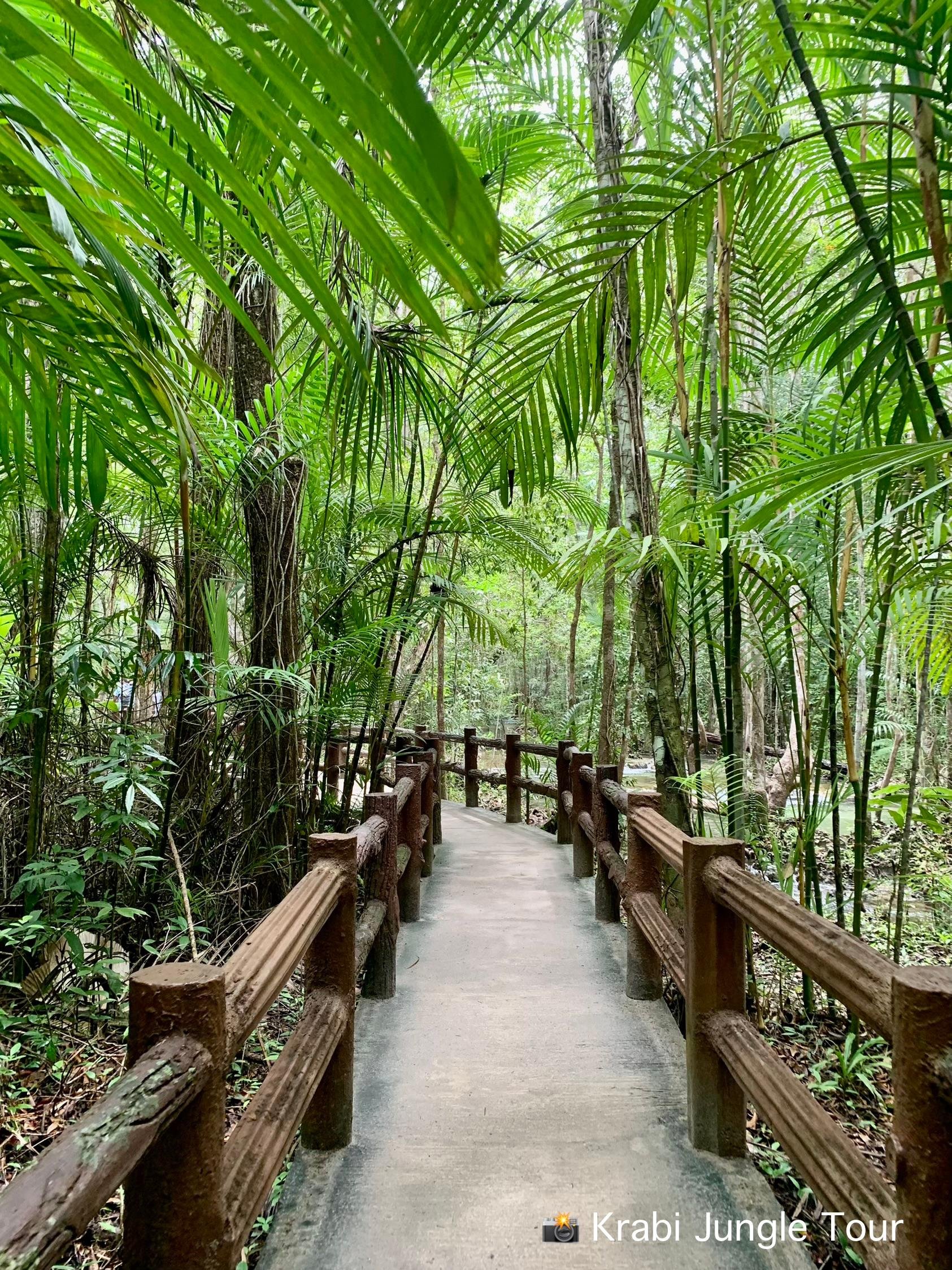 Krabi Jungle Day Tour: Hot Spring, Emerald Pool & Tiger Cave Temple