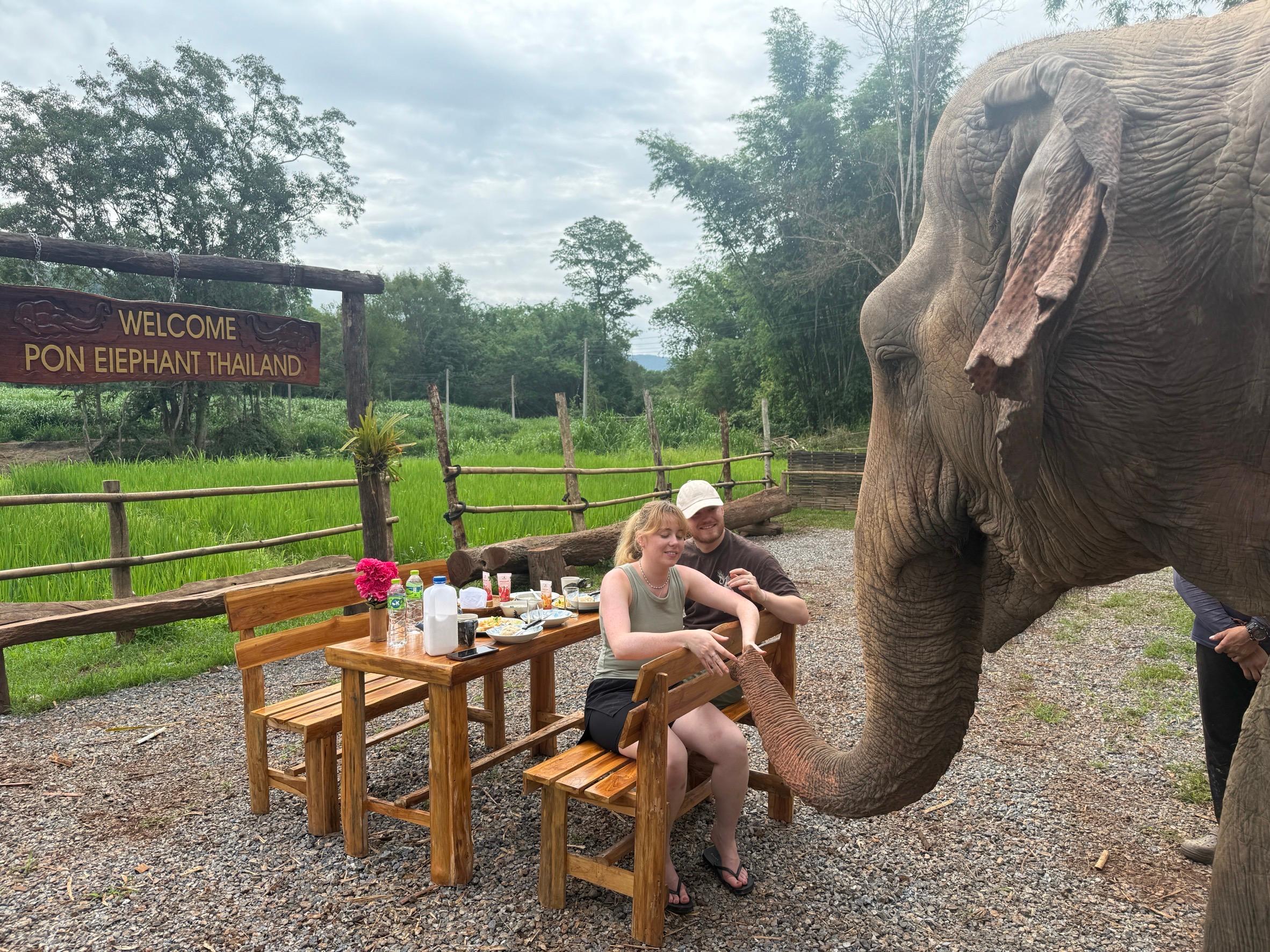 Chiang Mai 2-Day: Good Morning Elephant & Overnight Homestay