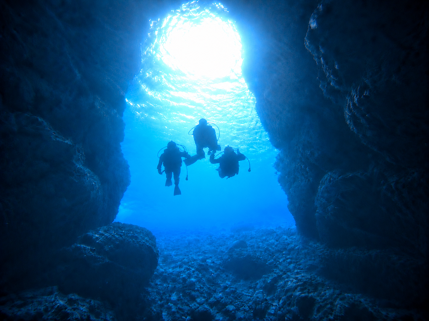 【Okinawa】Blue Cave Guided Dive No License Needed ( by boat )