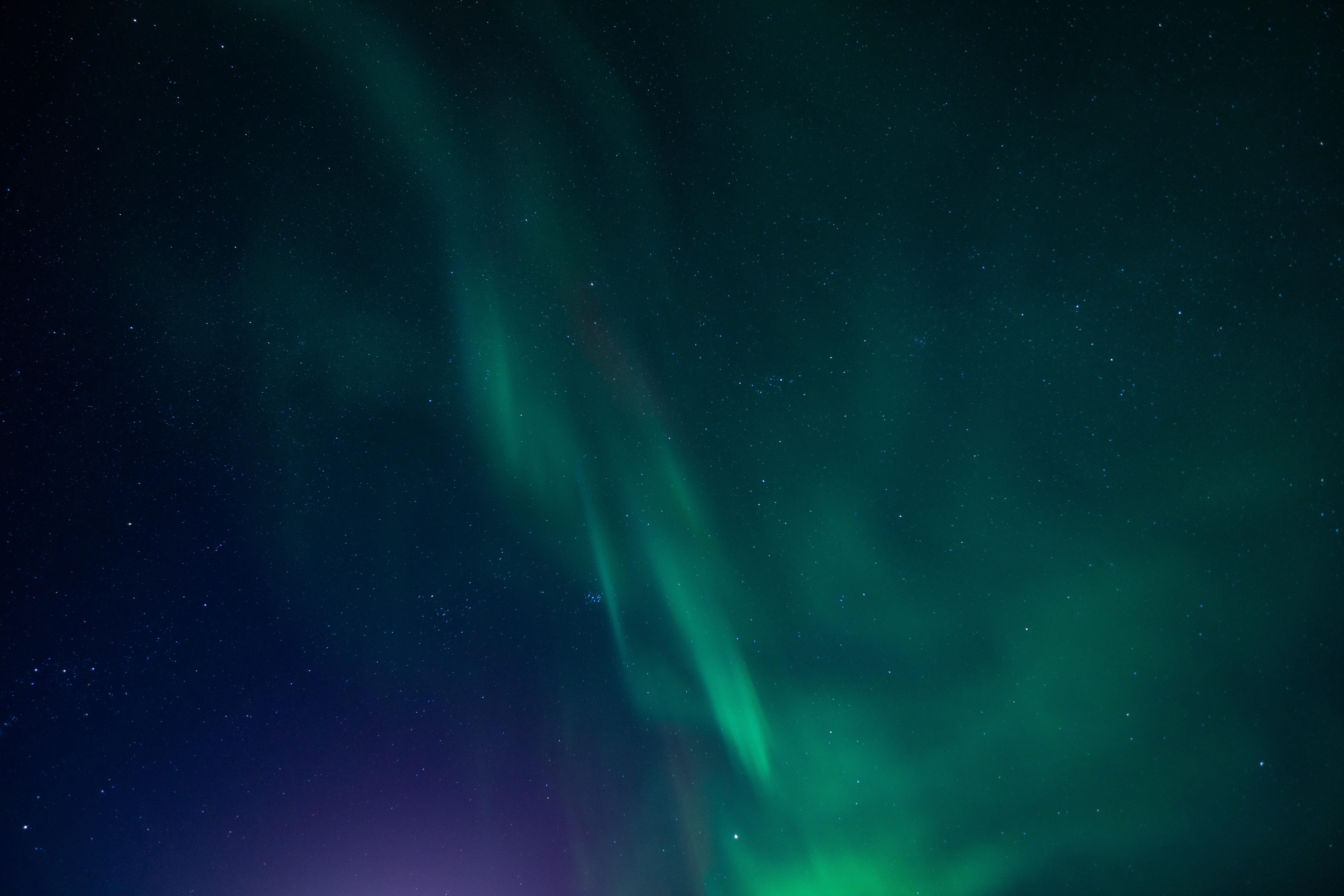 Reykjavik Northern Lights Minibus Hunt with Hot Cocoa