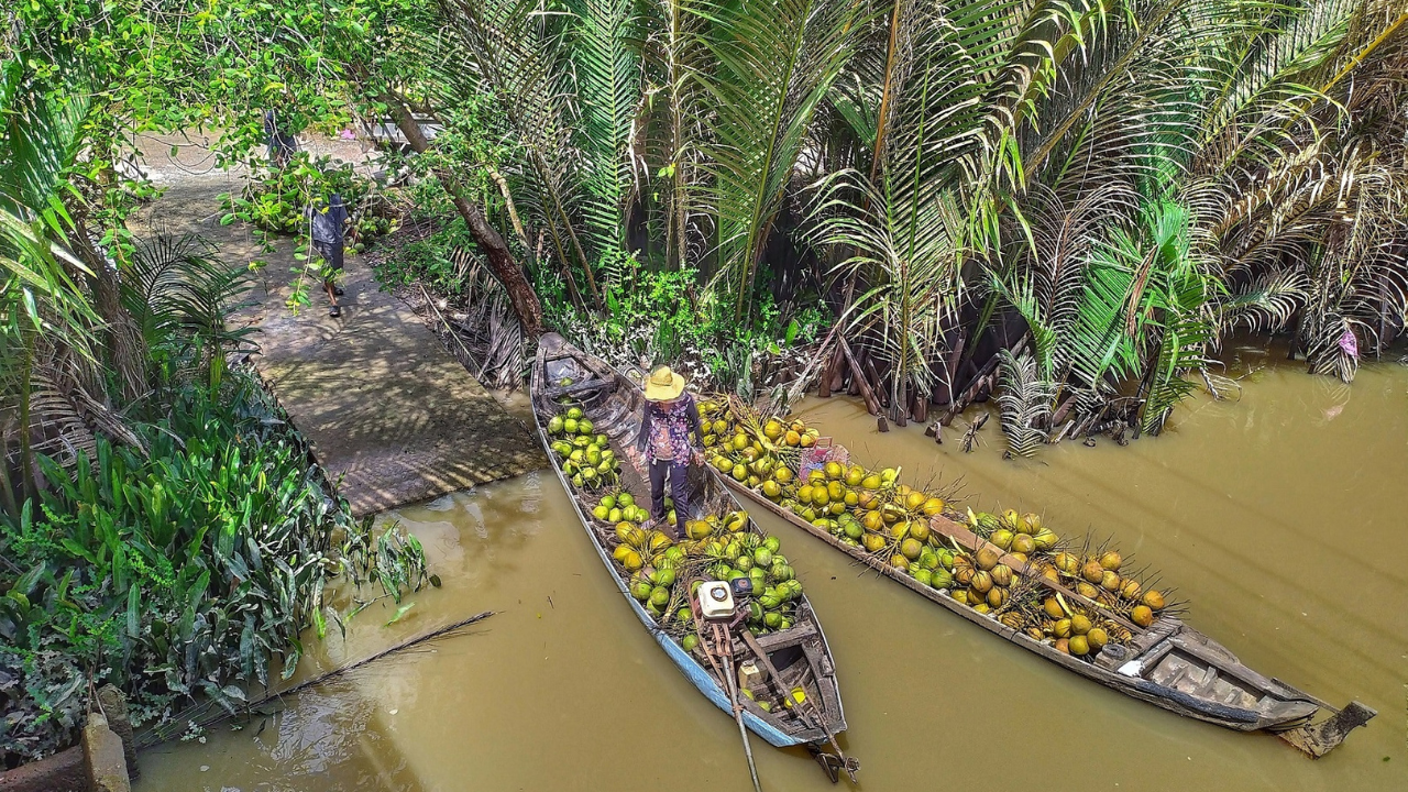 Ben Tre Mekong Delta & Cu Chi Tunnels – Small Group Day Tour (Max 9)