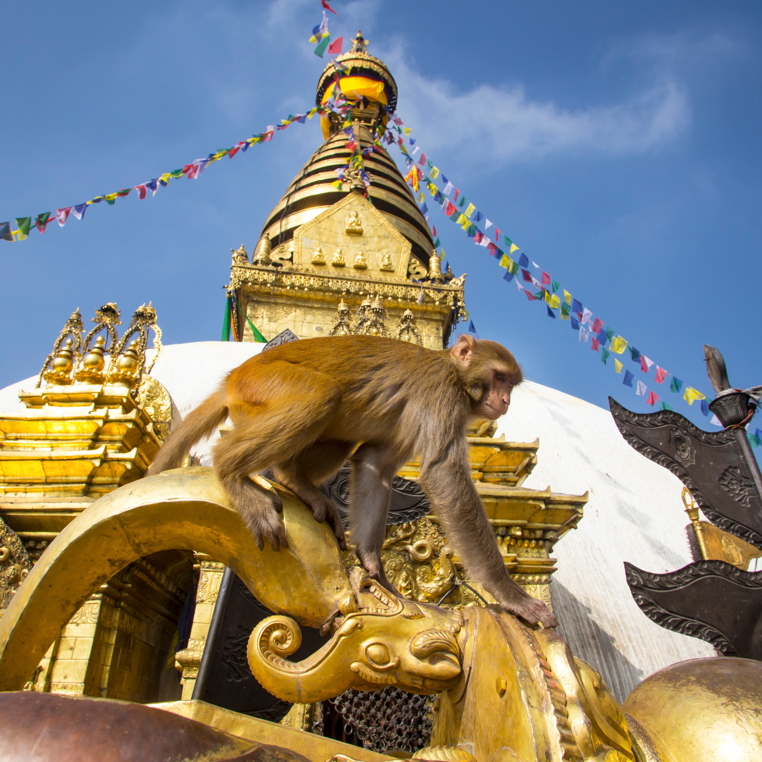 Kathmandu: 7 UNESCO World Heritage Sites Private Tour