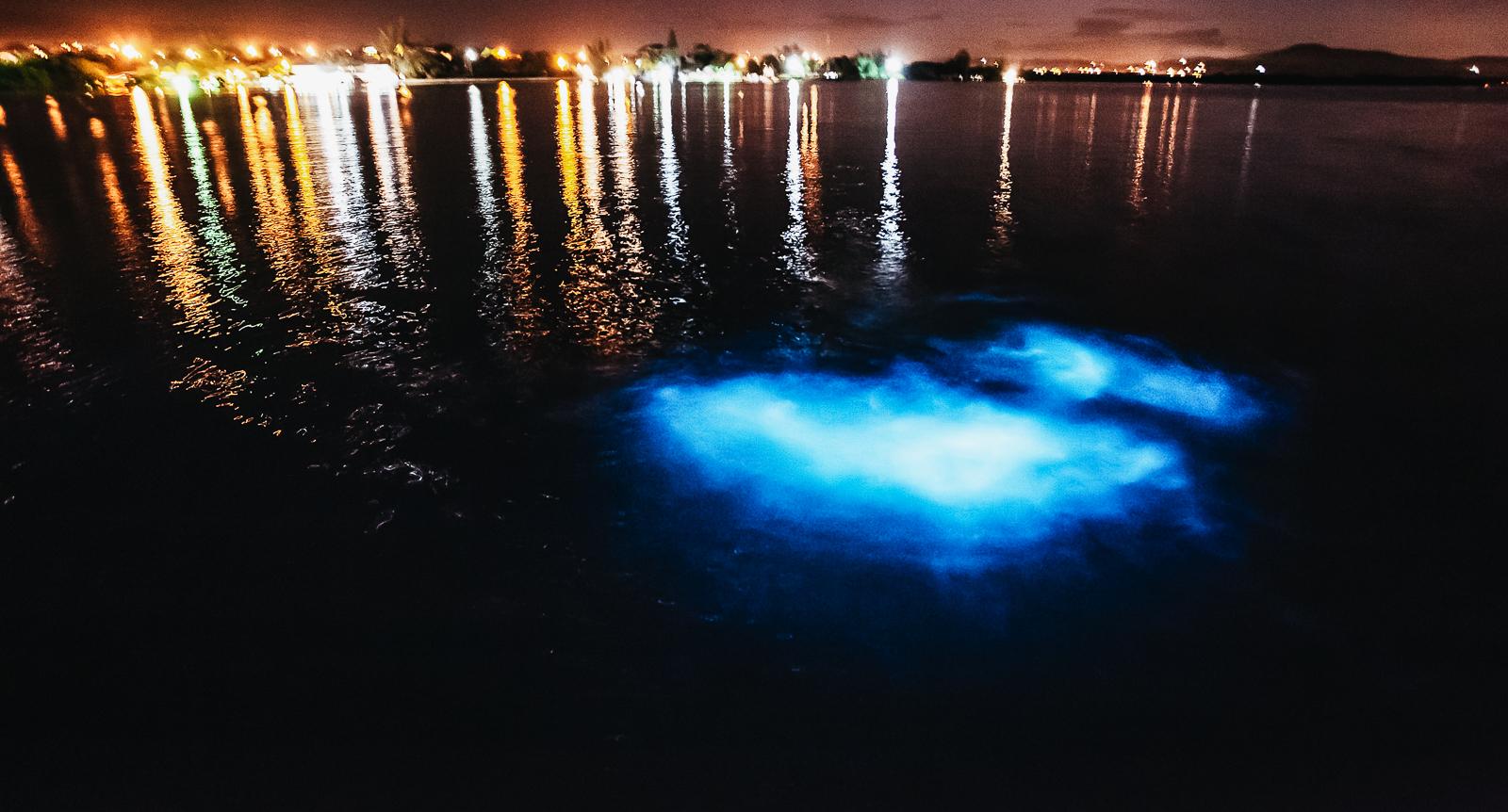 La Parguera Bioluminescent Bay Boat Trip from San Juan