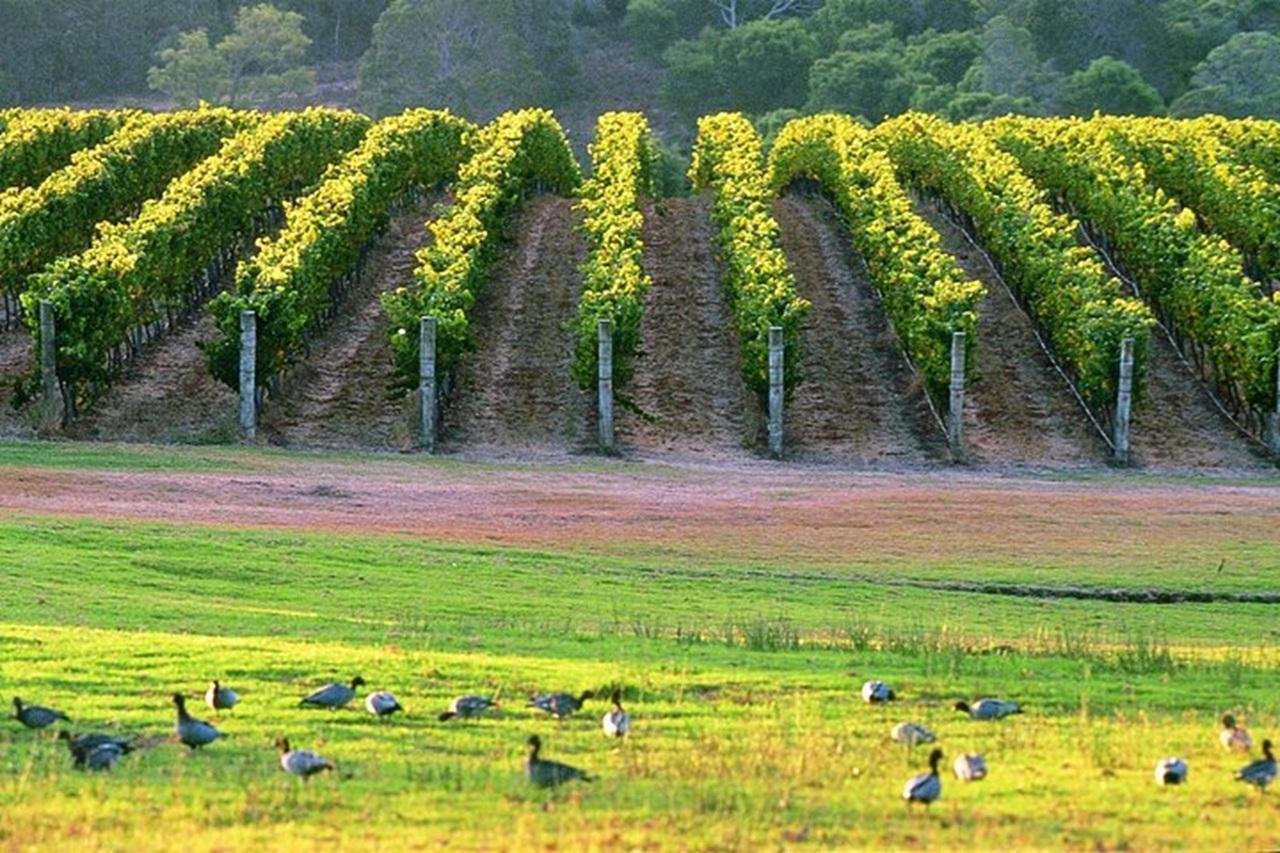 Margaret River Wine, Chocolate & Coast Full-Day Tour from Perth