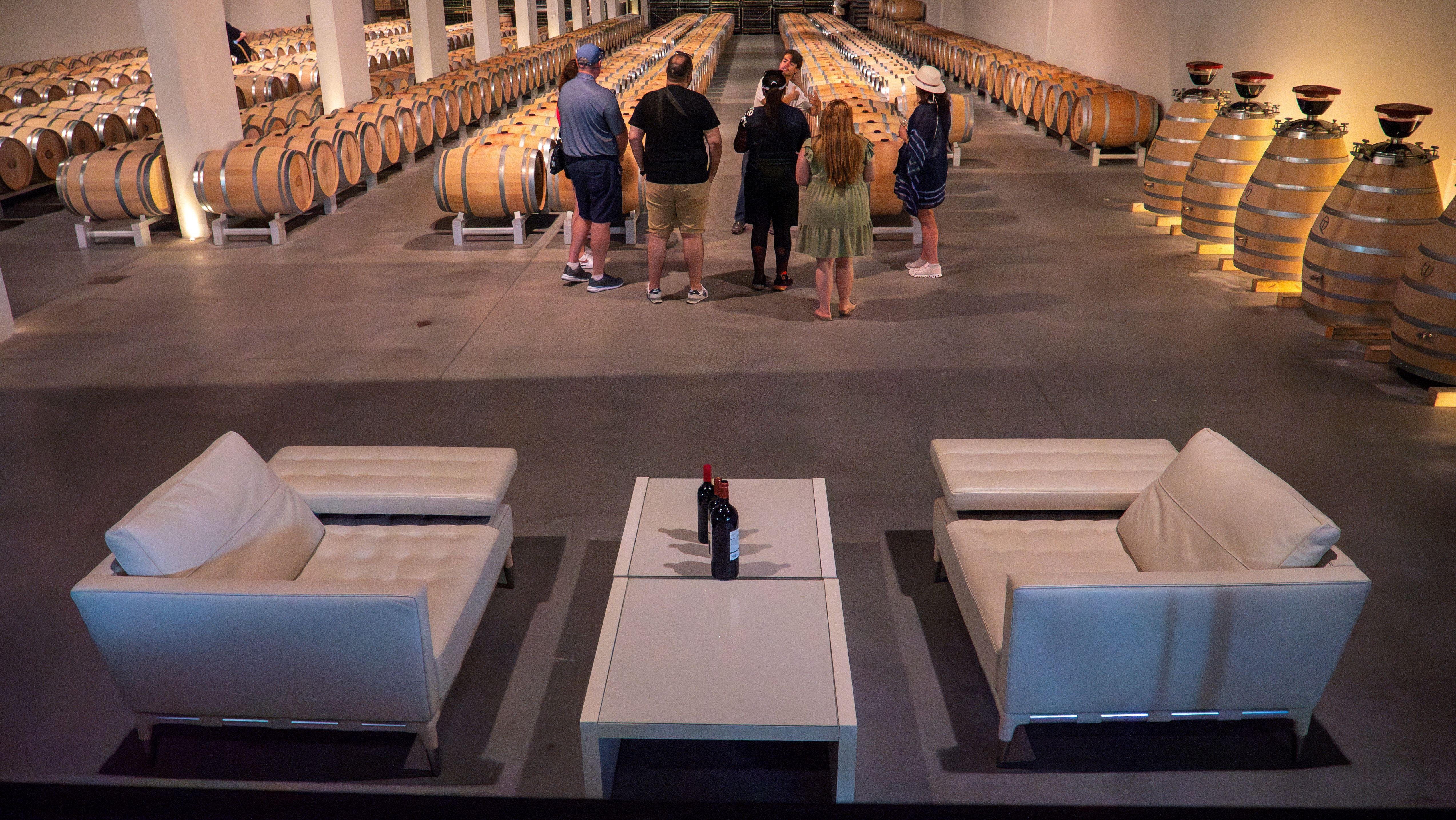 wine tour in Bordeaux — photo 22