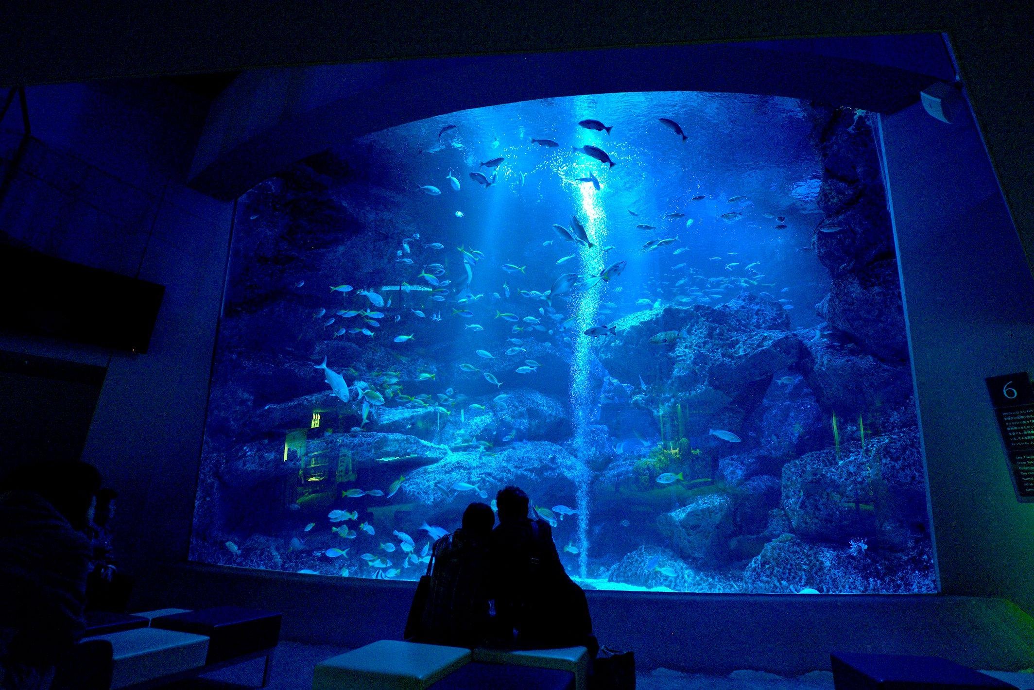 Sumida Aquarium Entry Ticket