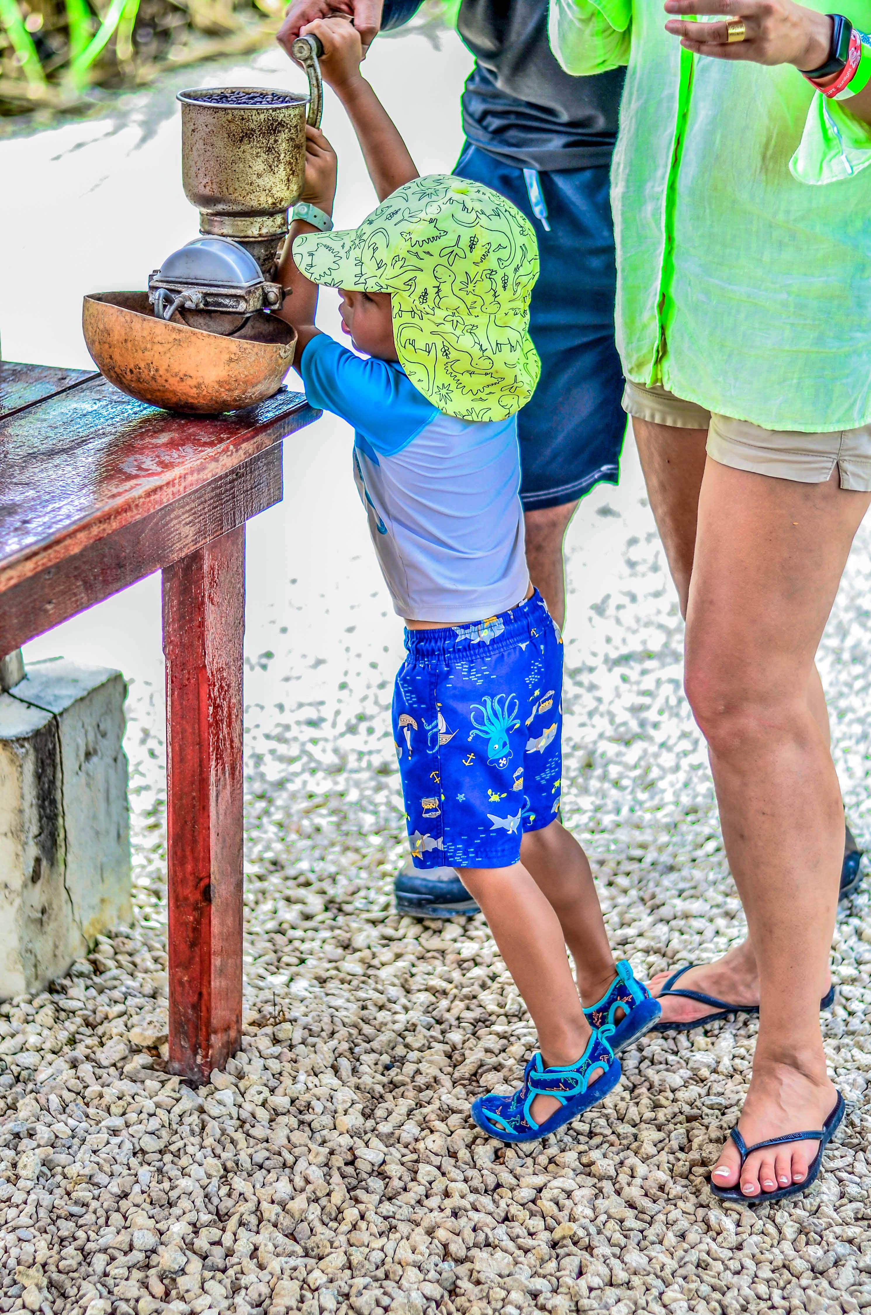 Punta Cana Monkey Park, Dominican Farm & Cenote Swim – Full Day Combo