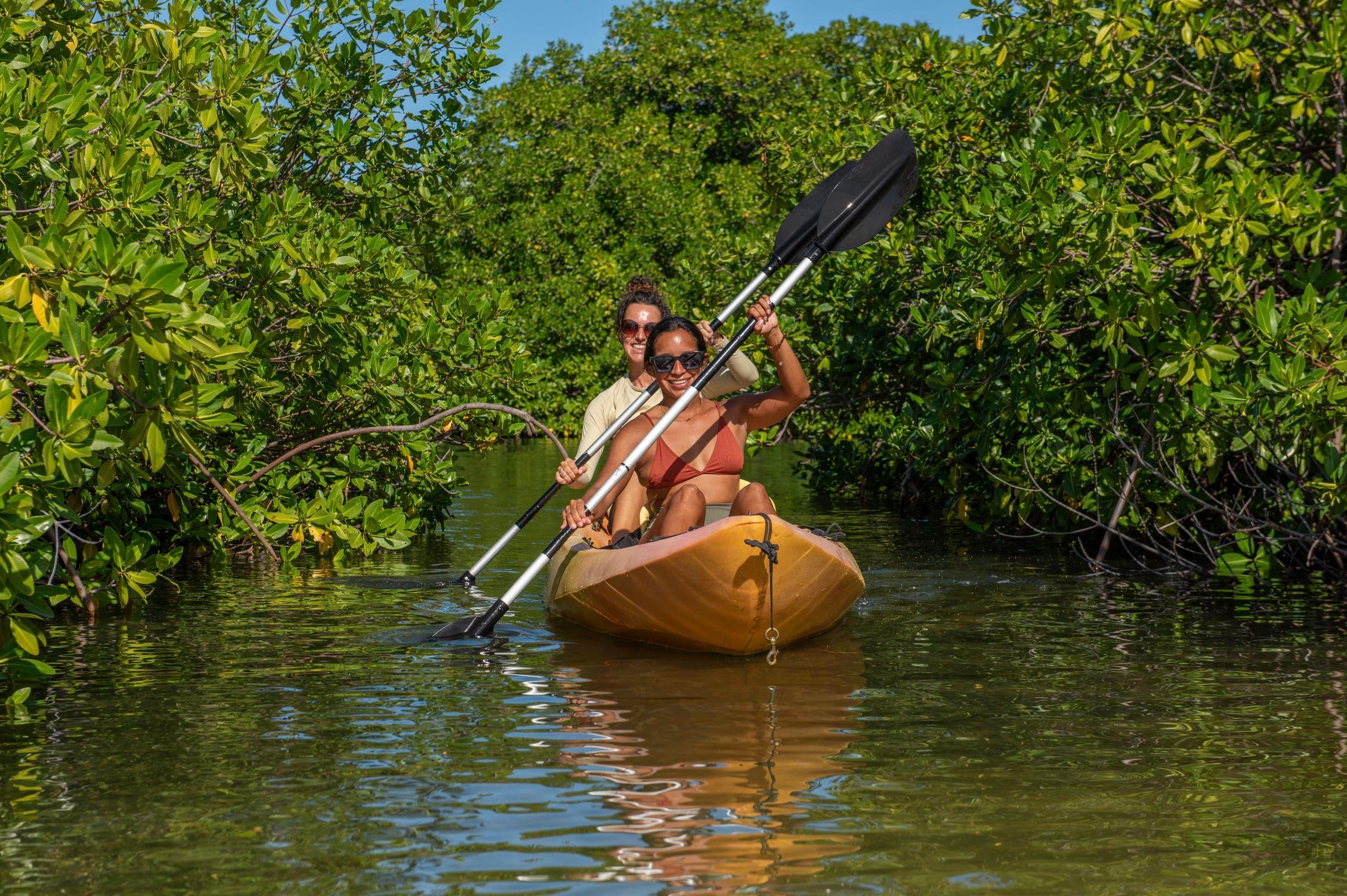 Lac Bay Mangrove Kayaking Adventure