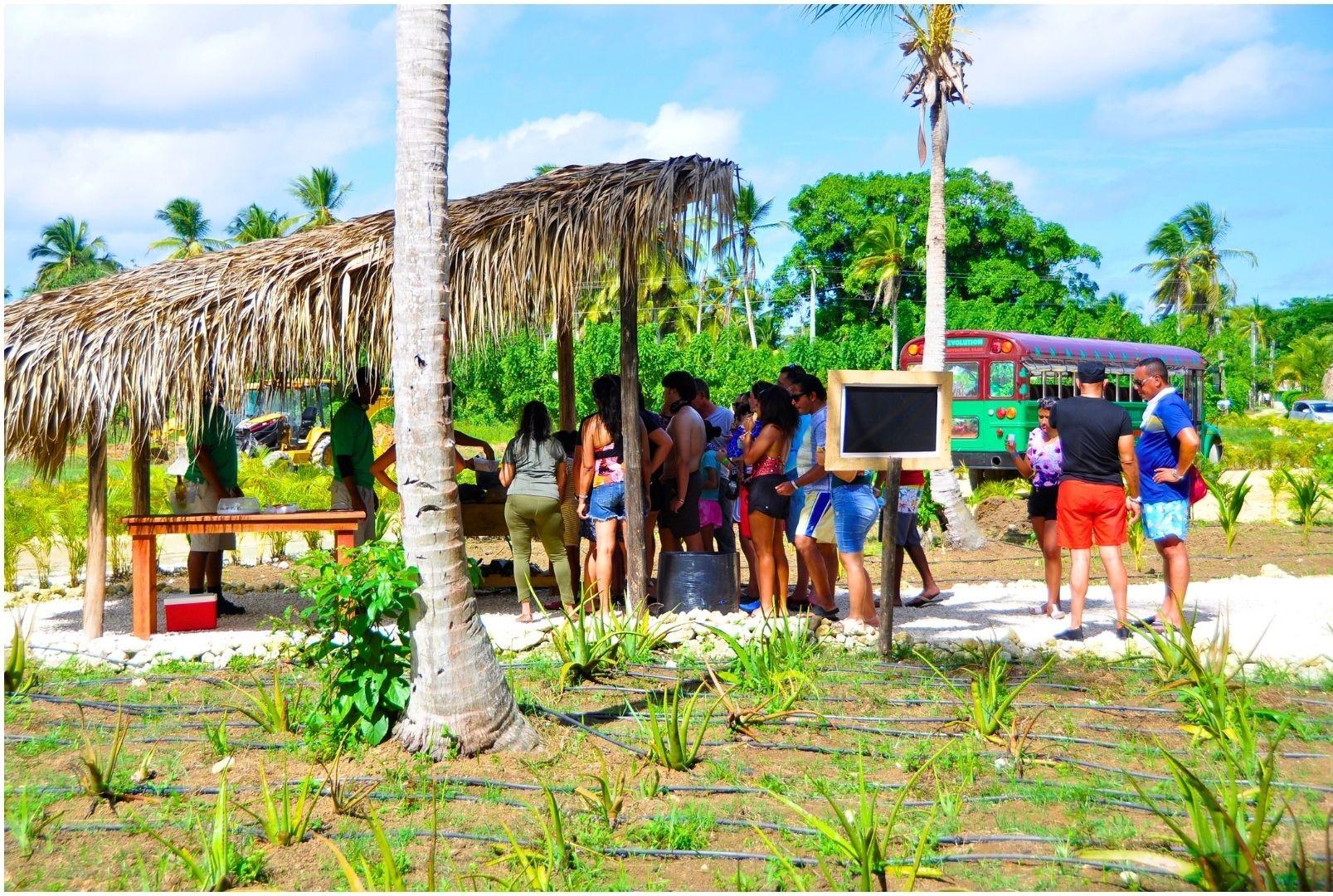 Punta Cana Monkey Park, Dominican Farm & Cenote Swim – Full Day Combo