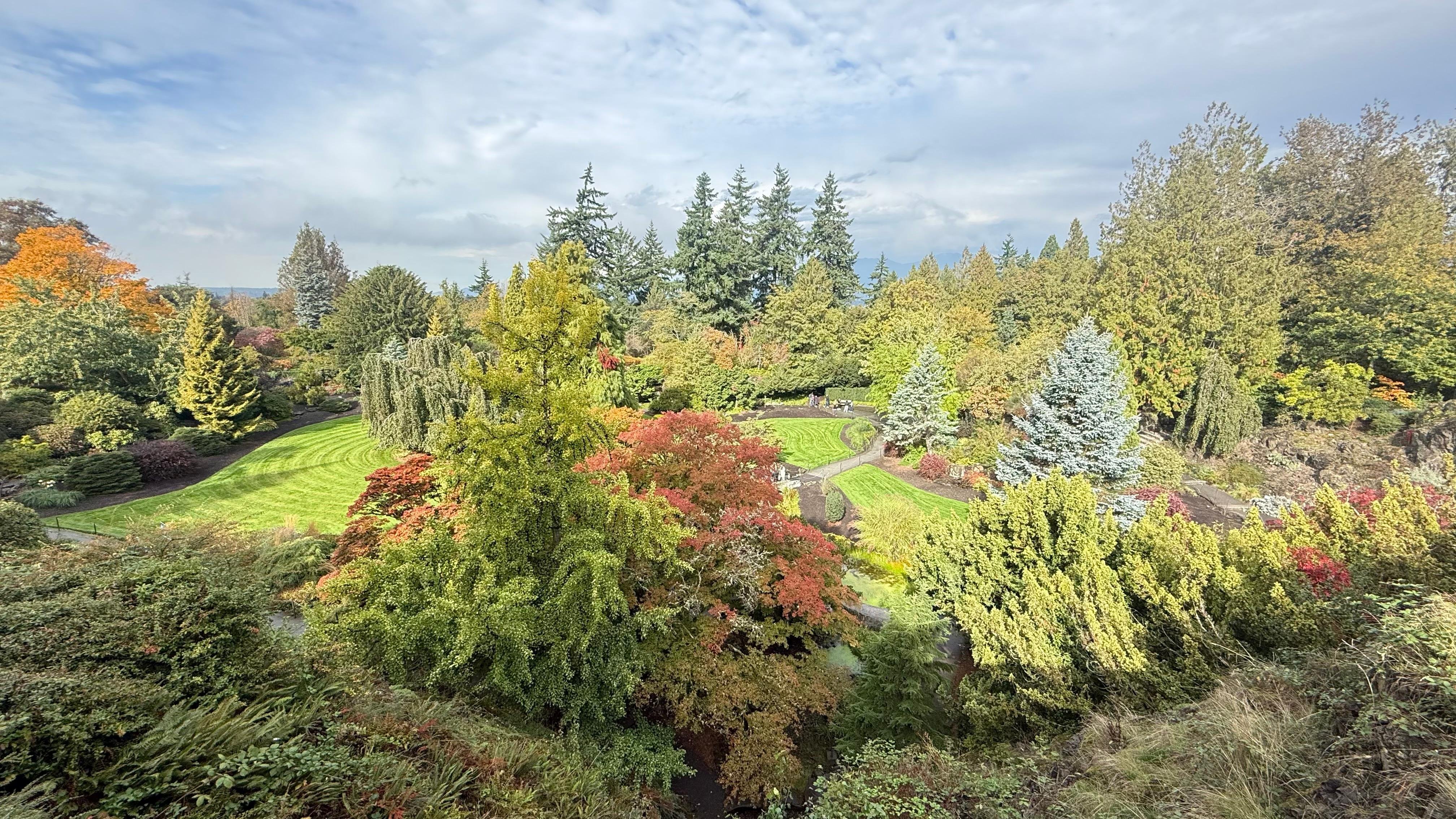 Vancouver Highlights: Private Car Tour of City Landmarks