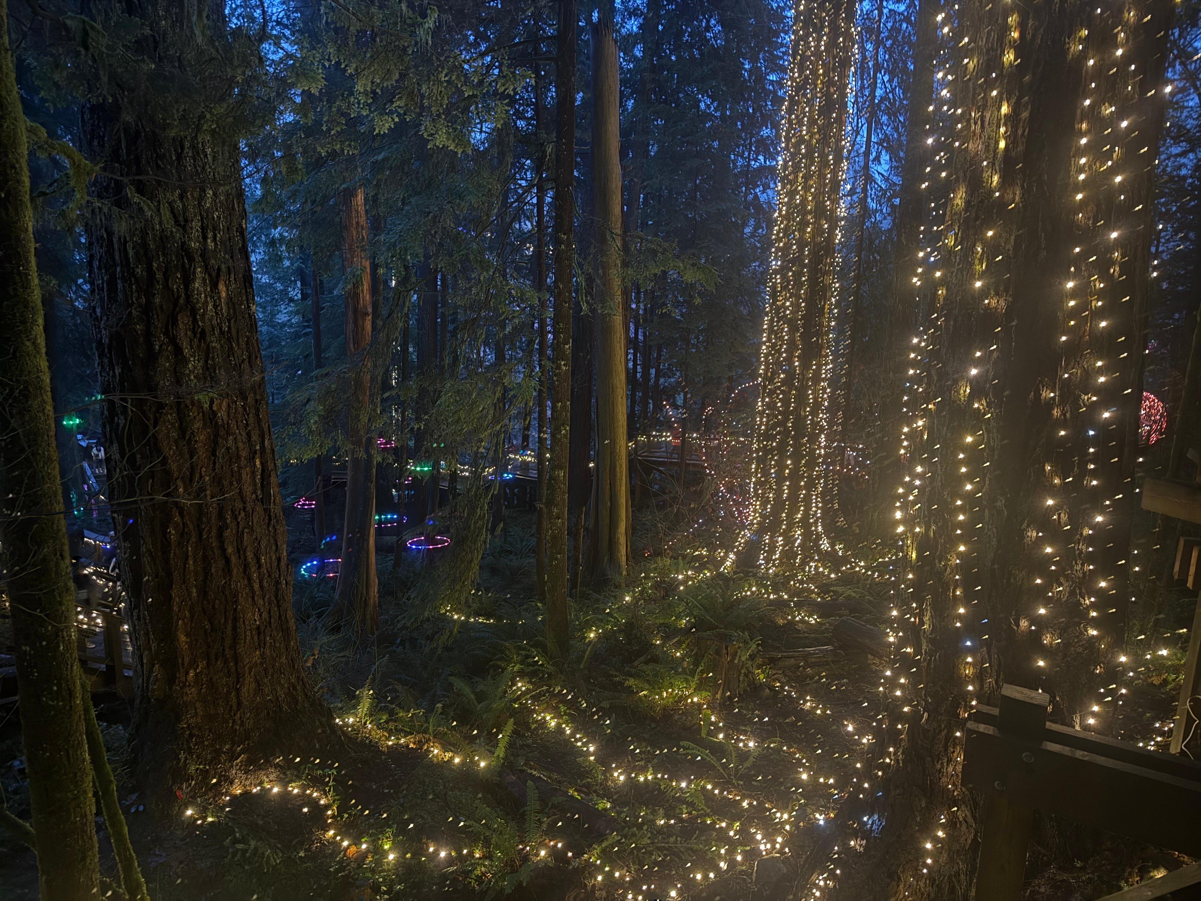 Capilano Suspension Bridge & Stanley Park Small Group Tour