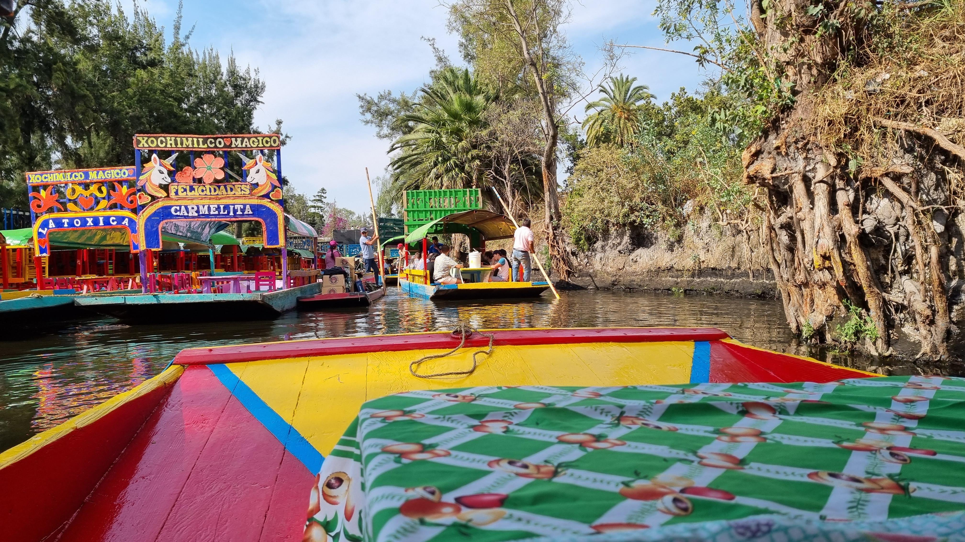 Mexico City: Xochimilco, Coyoacán, and Frida Kahlo Museum Tour