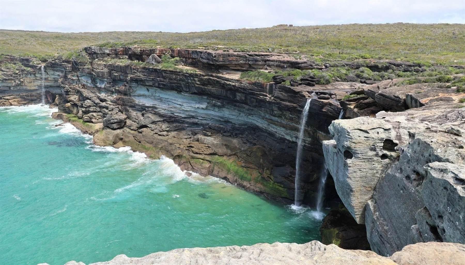 Royal National Park Private Tour