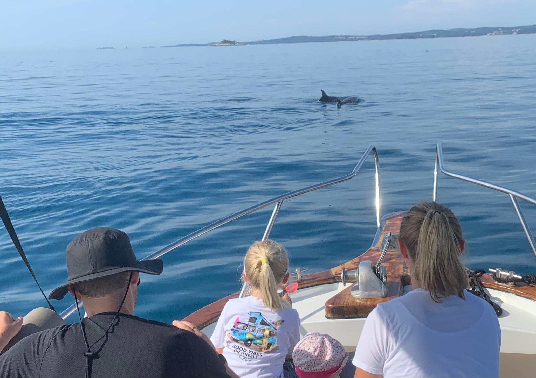 Rovinj Sunset Dolphin Cruise