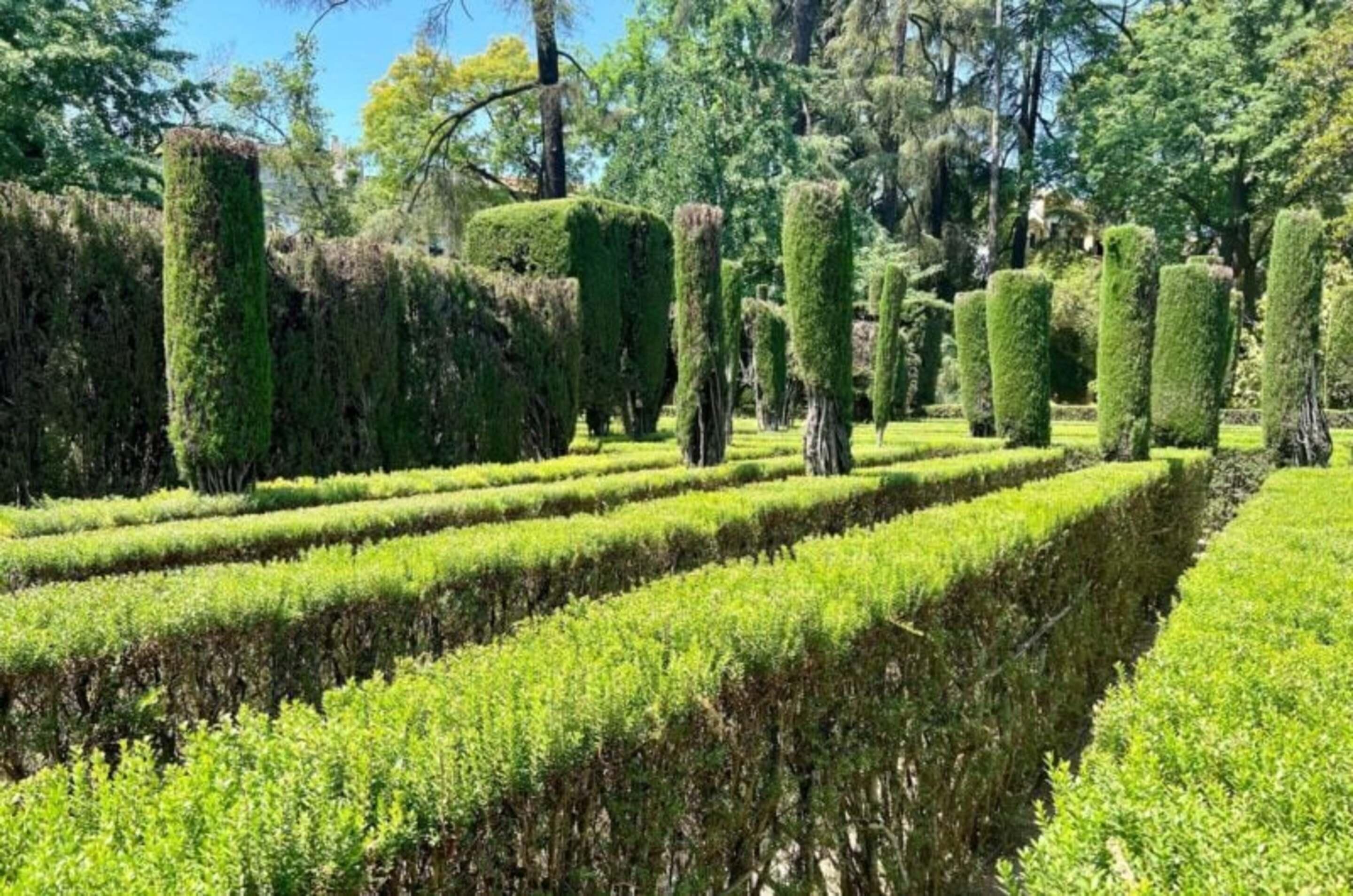 Private Seville Family Discovery Tour & Alcázar Visit