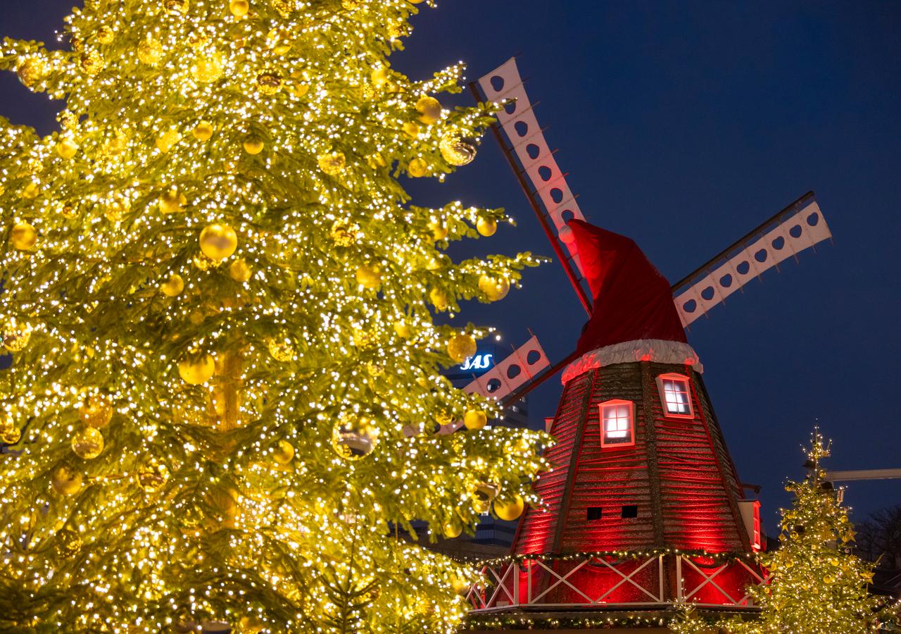Copenhagen Christmas market and winter city scenery — image 10