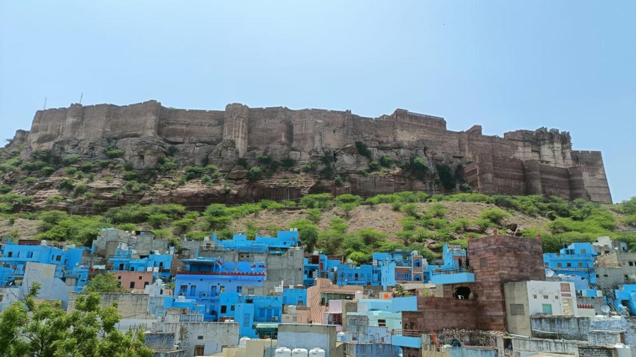 Jodhpur Authentic Street Food Walking Tour